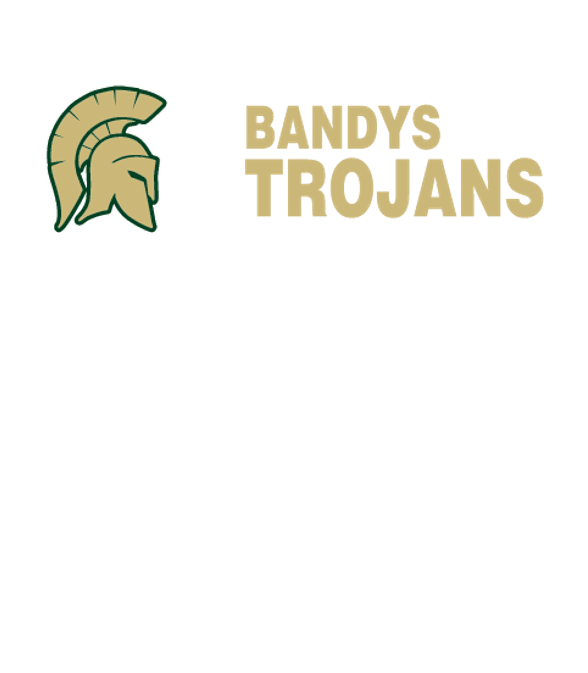 Bandys High School Logo