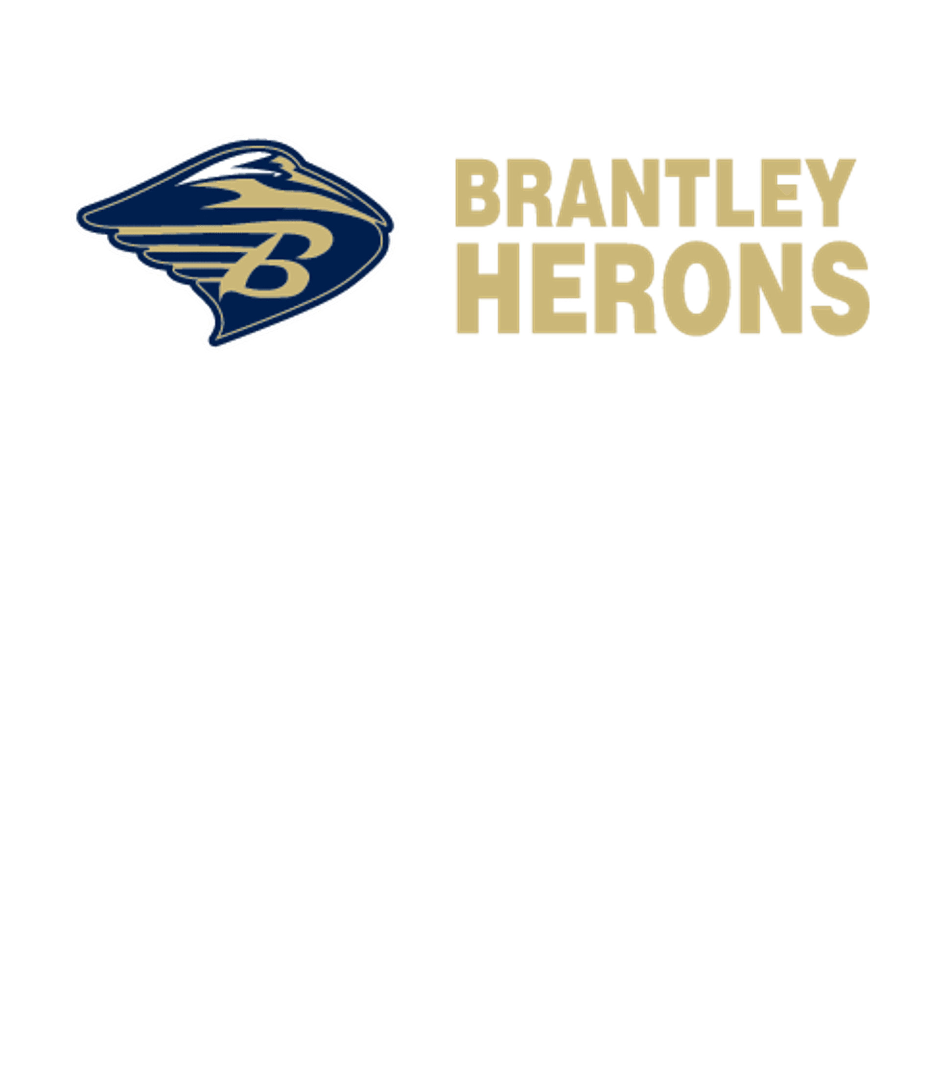Brantley County High School Logo