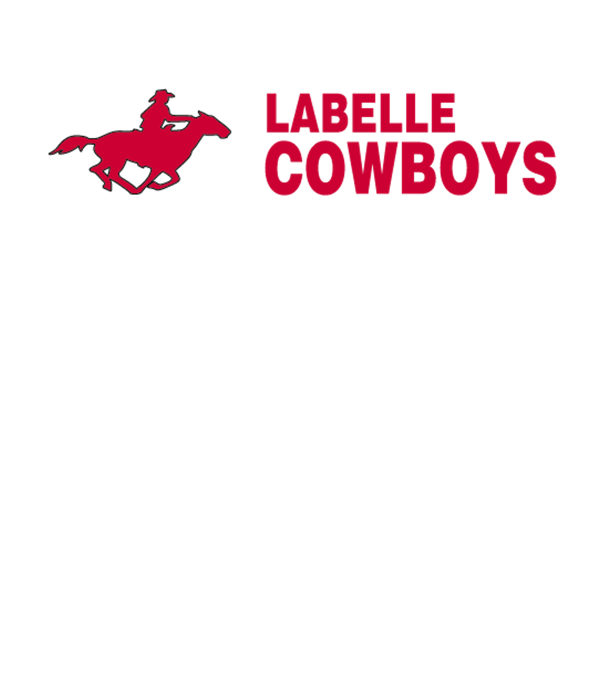 LABELLE HIGH SCHOOL Logo