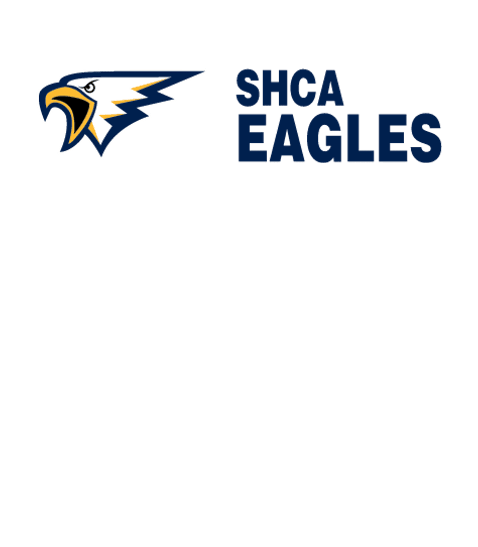 Bright Star Secondary Academy Logo
