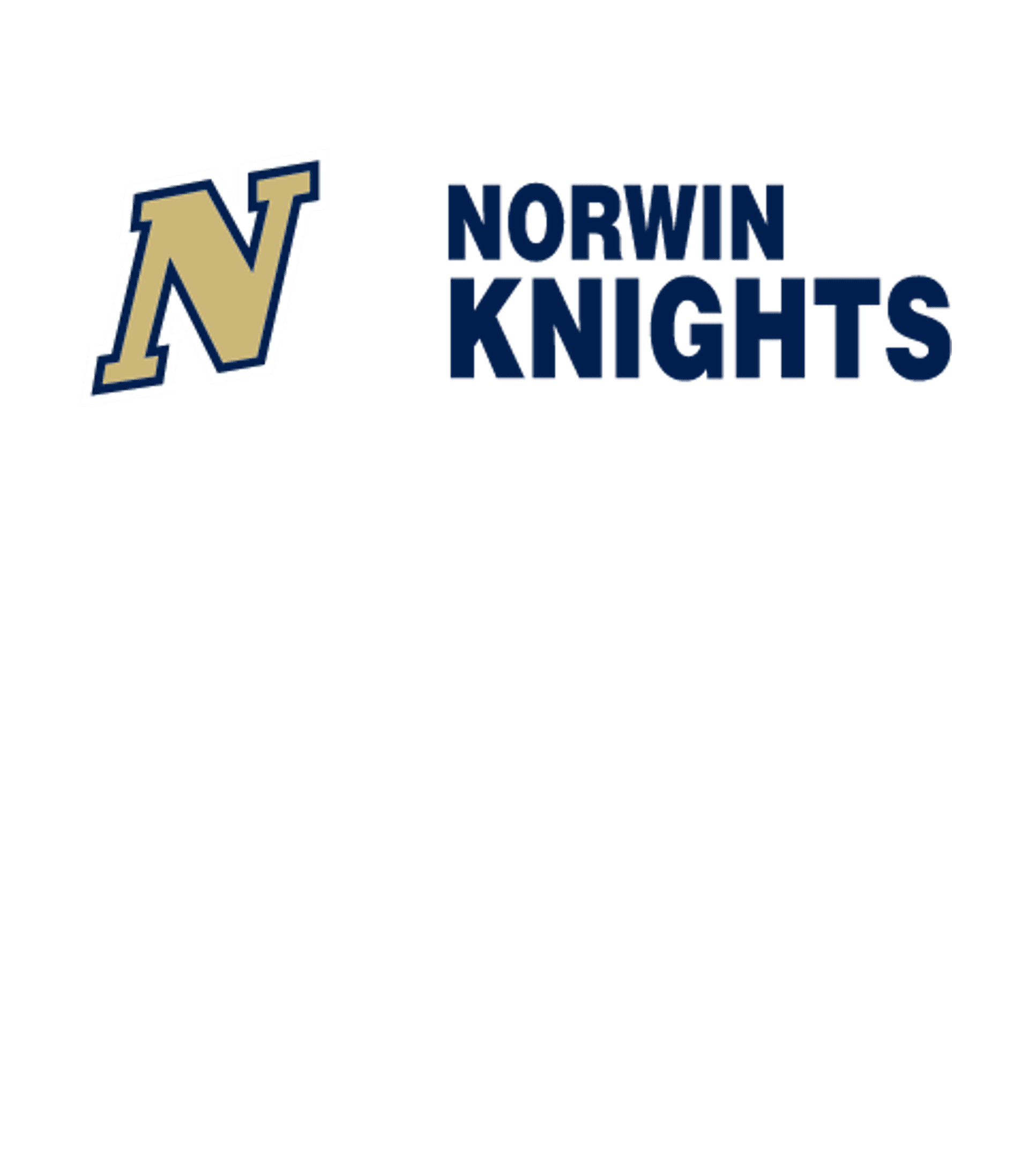 NORWIN HIGH SCHOOL Logo