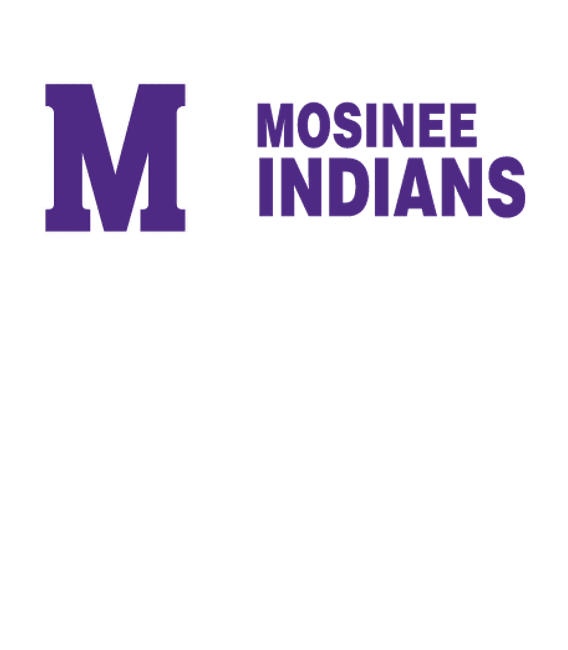 MOSINEE HIGH SCHOOL Logo