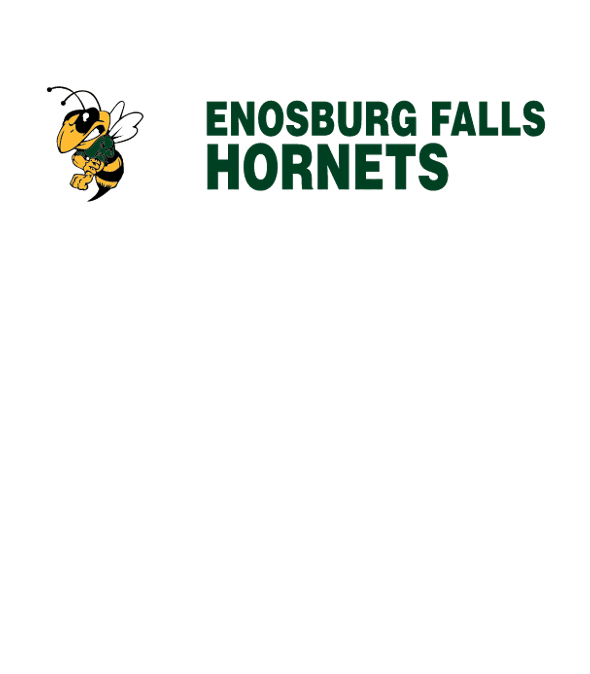 ENOSBURG FALLS HIGH SCHOOL Logo