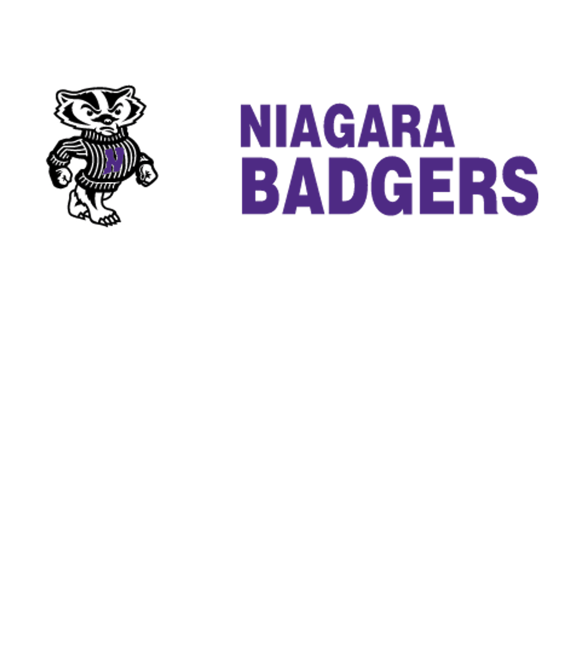 NIAGARA HIGH SCHOOL Logo
