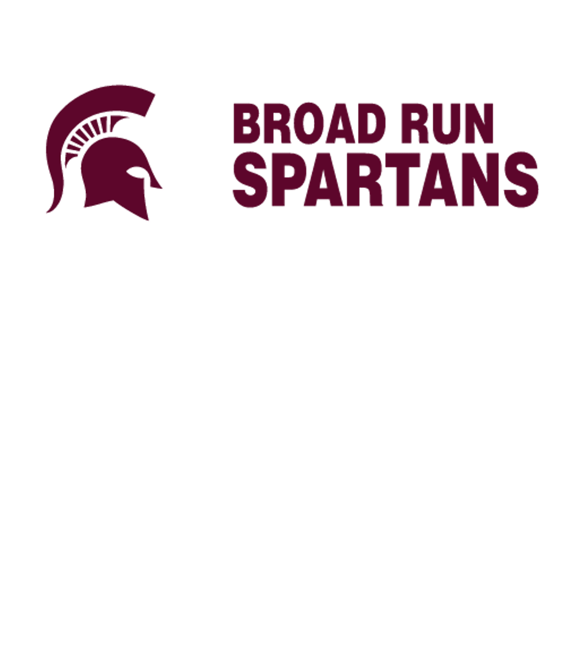 BROAD RUN HIGH SCHOOL Logo
