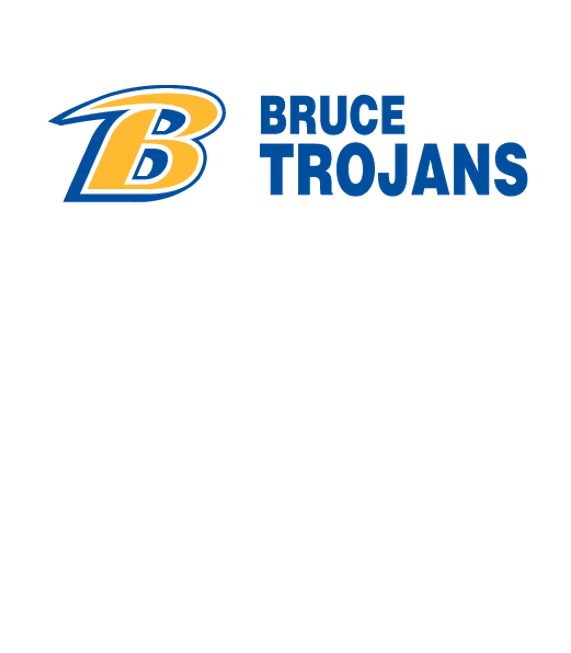 BRUCE HIGH SCHOOL Logo