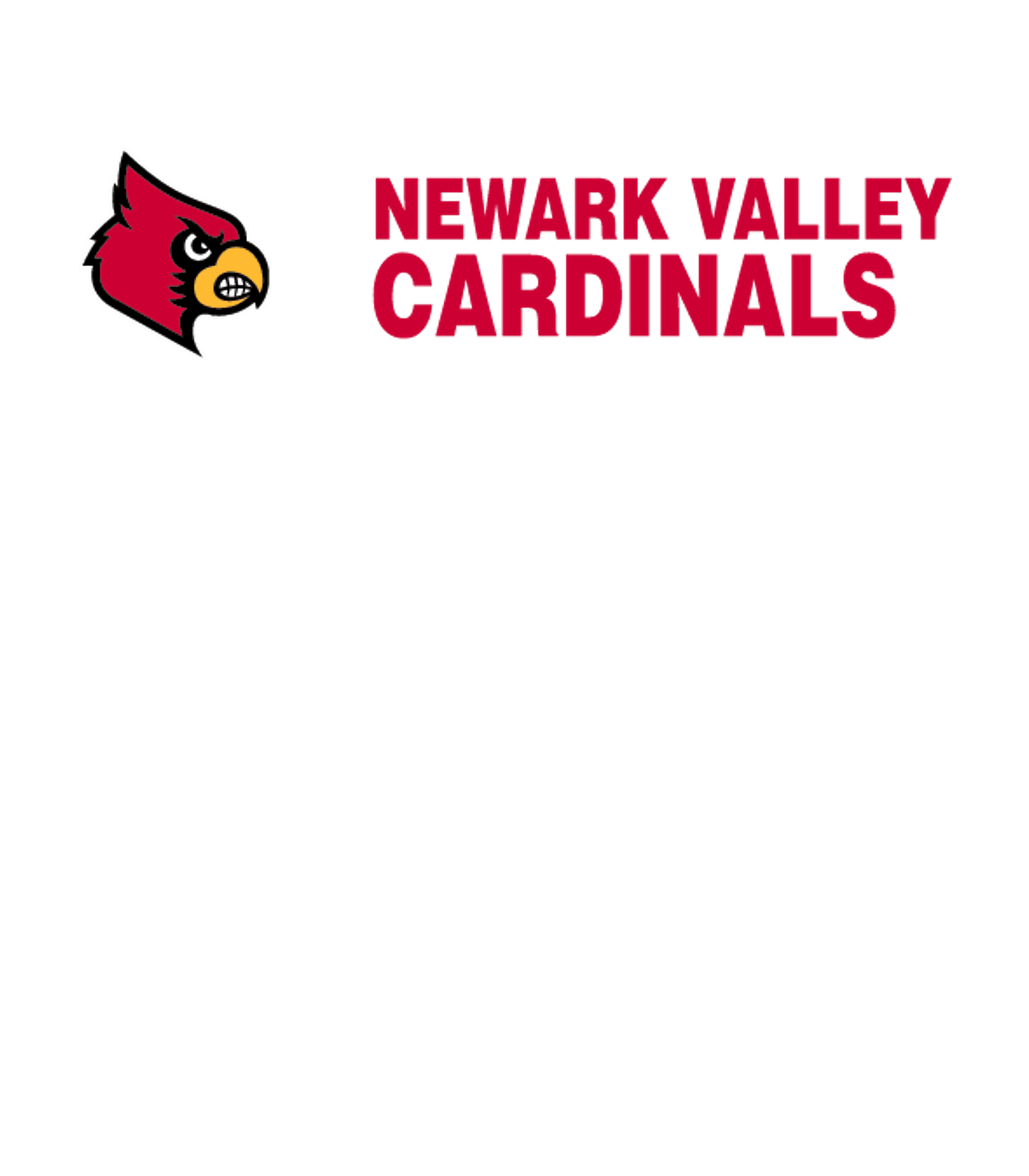 NEWARK VALLEY HIGH SCHOOL Logo
