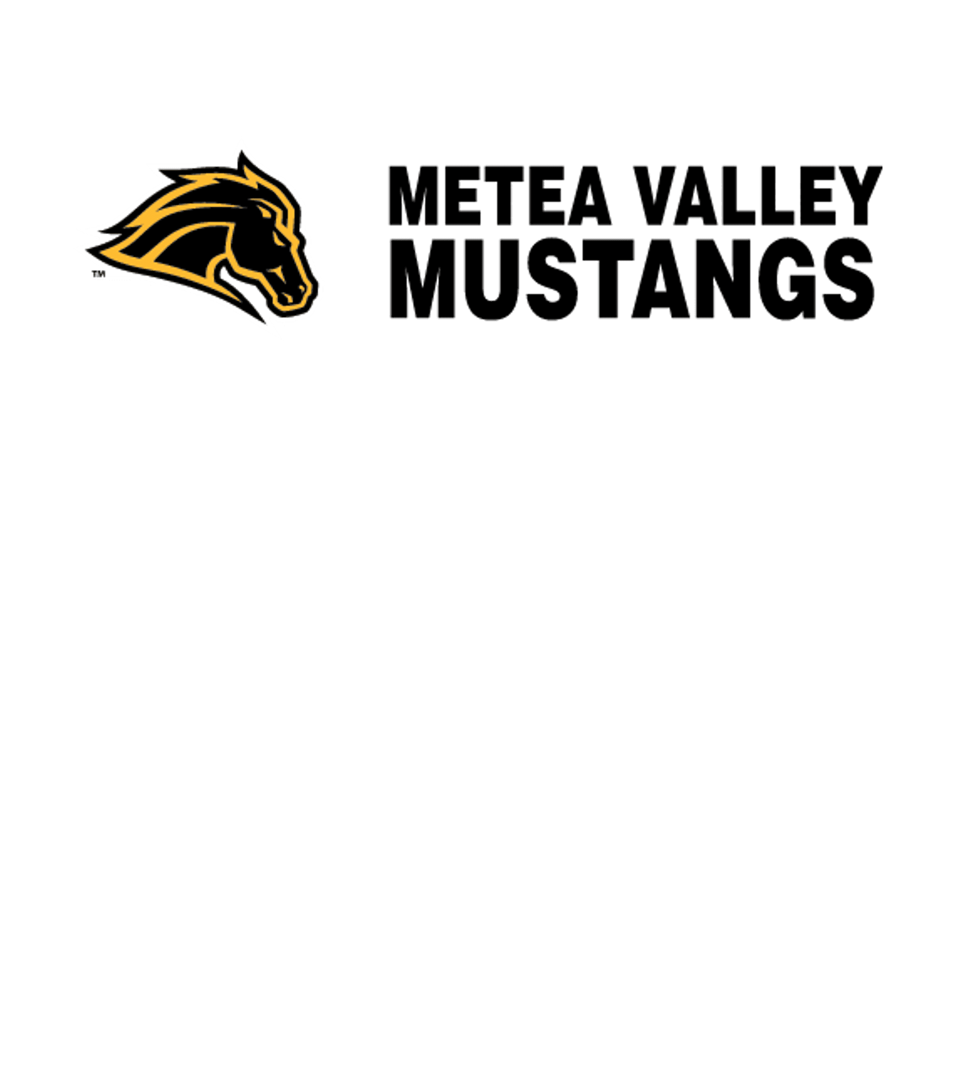 Metea Valley High School Logo