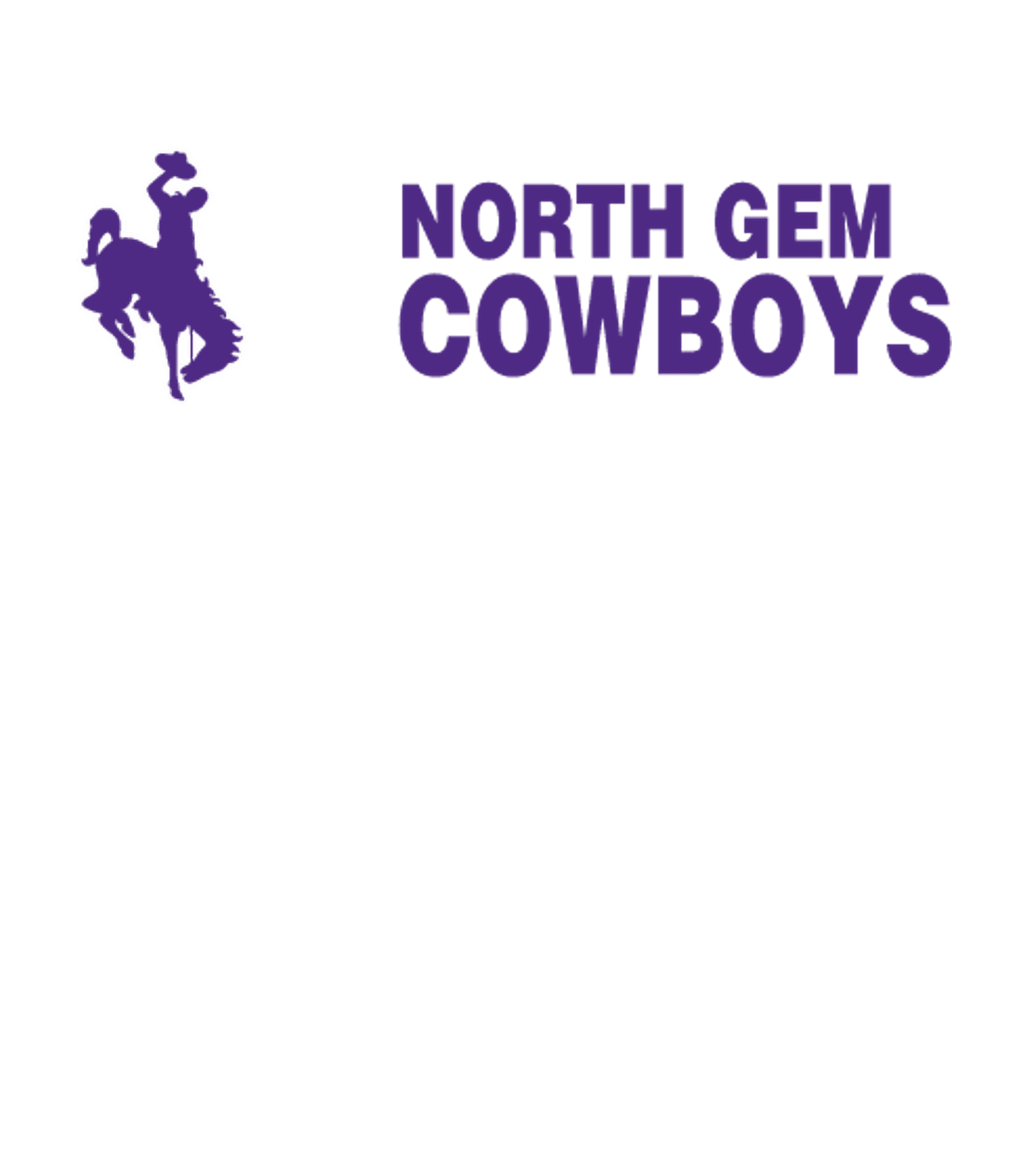 NORTH GEM SENIOR HIGH SCHOOL Logo