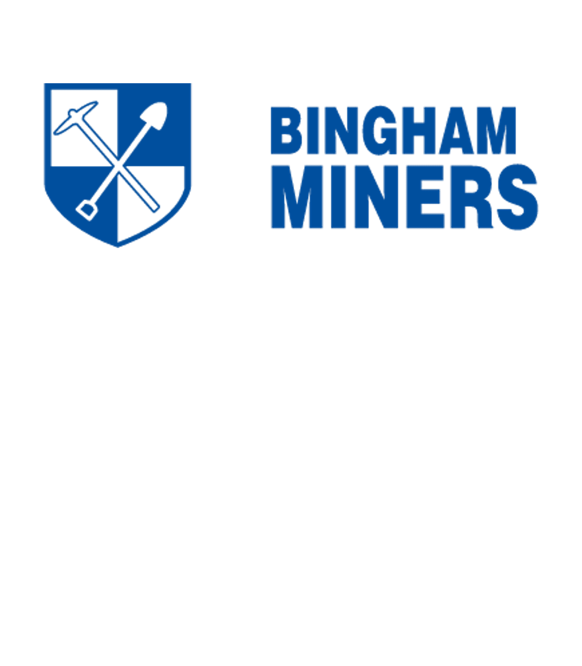 BINGHAM HIGH SCHOOL Logo