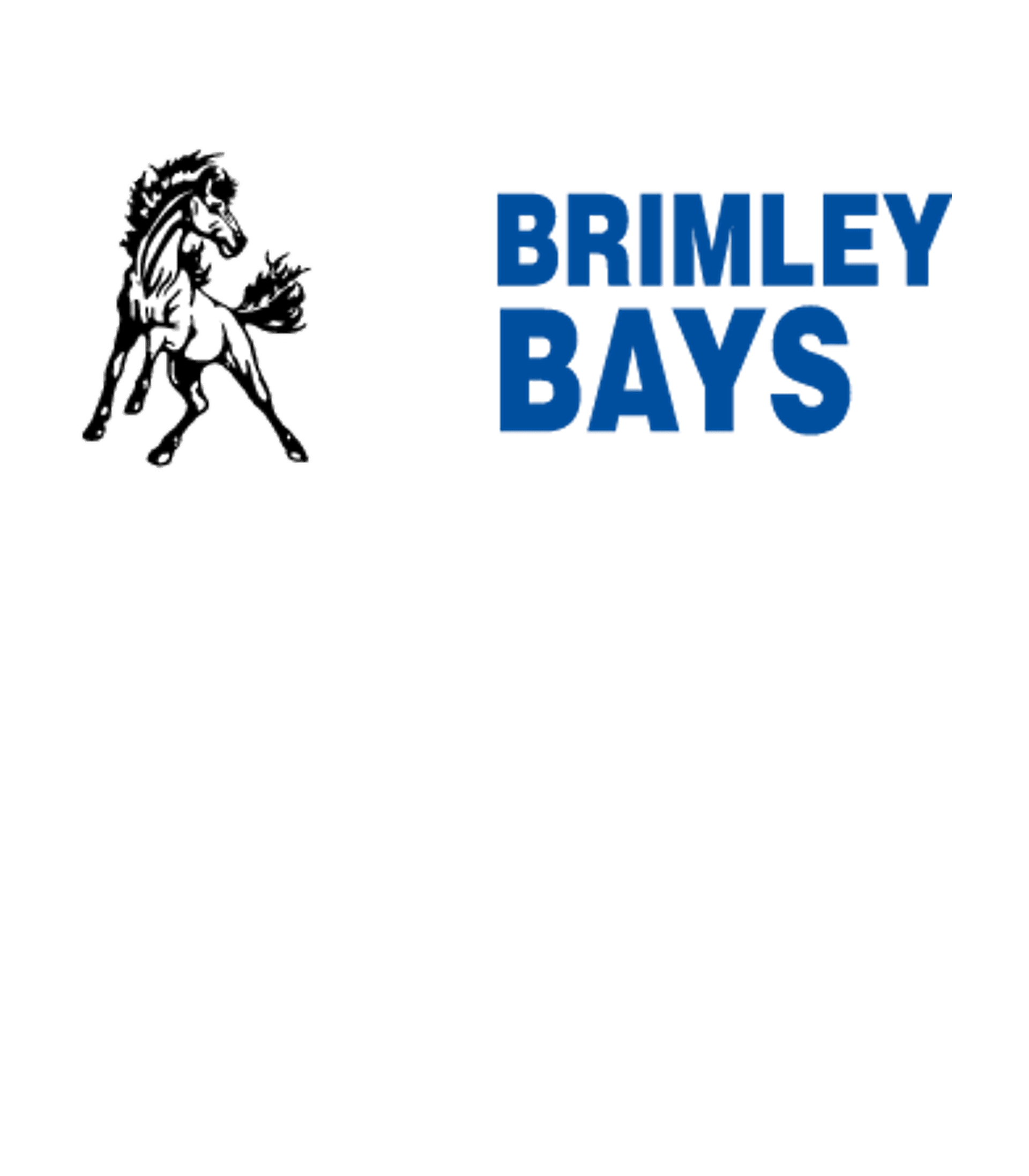 BRIMLEY HIGH SCHOOL Logo