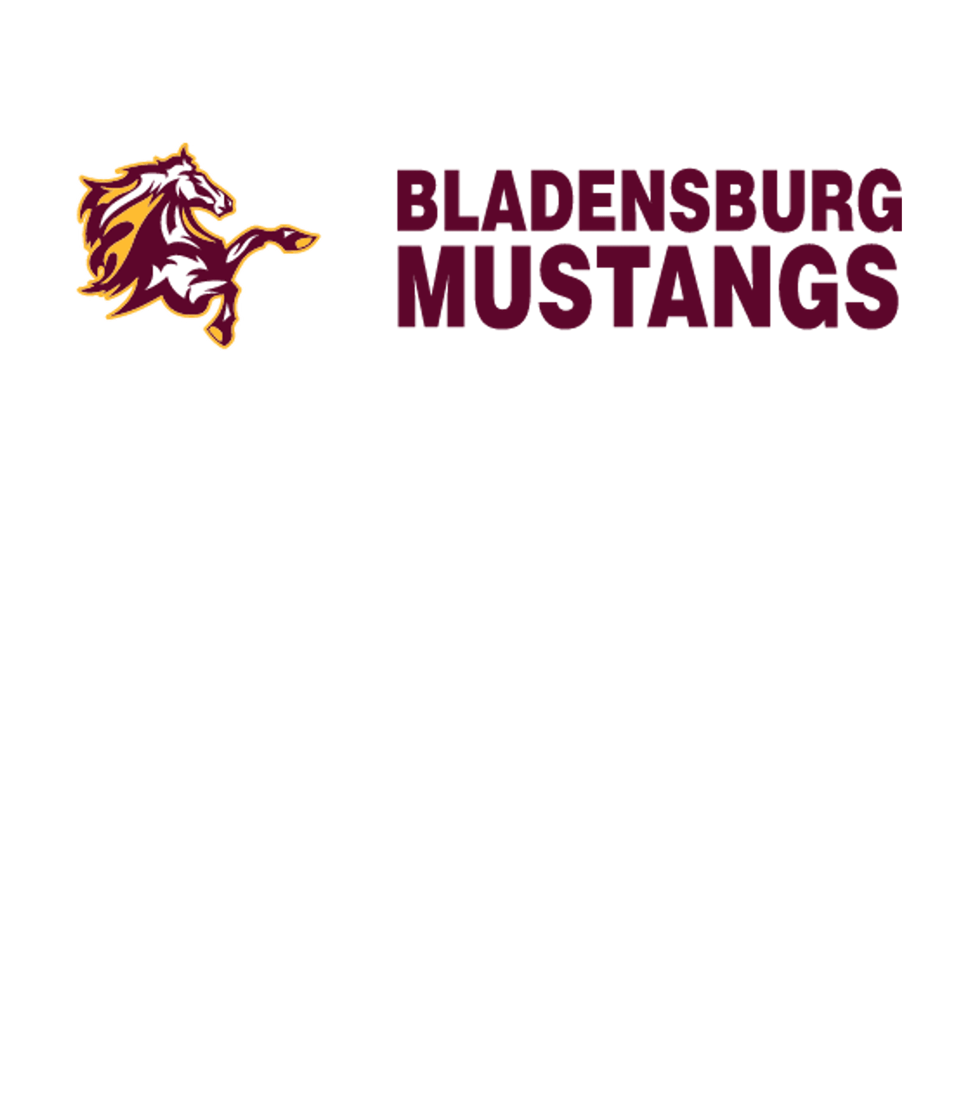 BLADENSBURG SCHOOL Logo