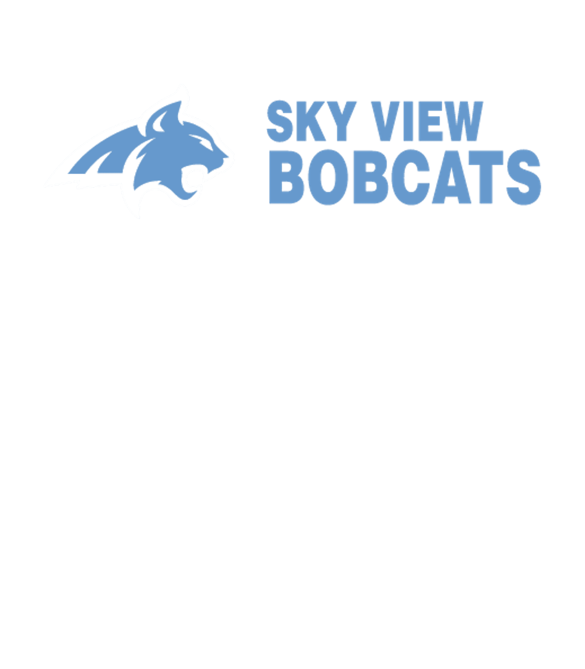 SKY VIEW HIGH SCHOOL Logo