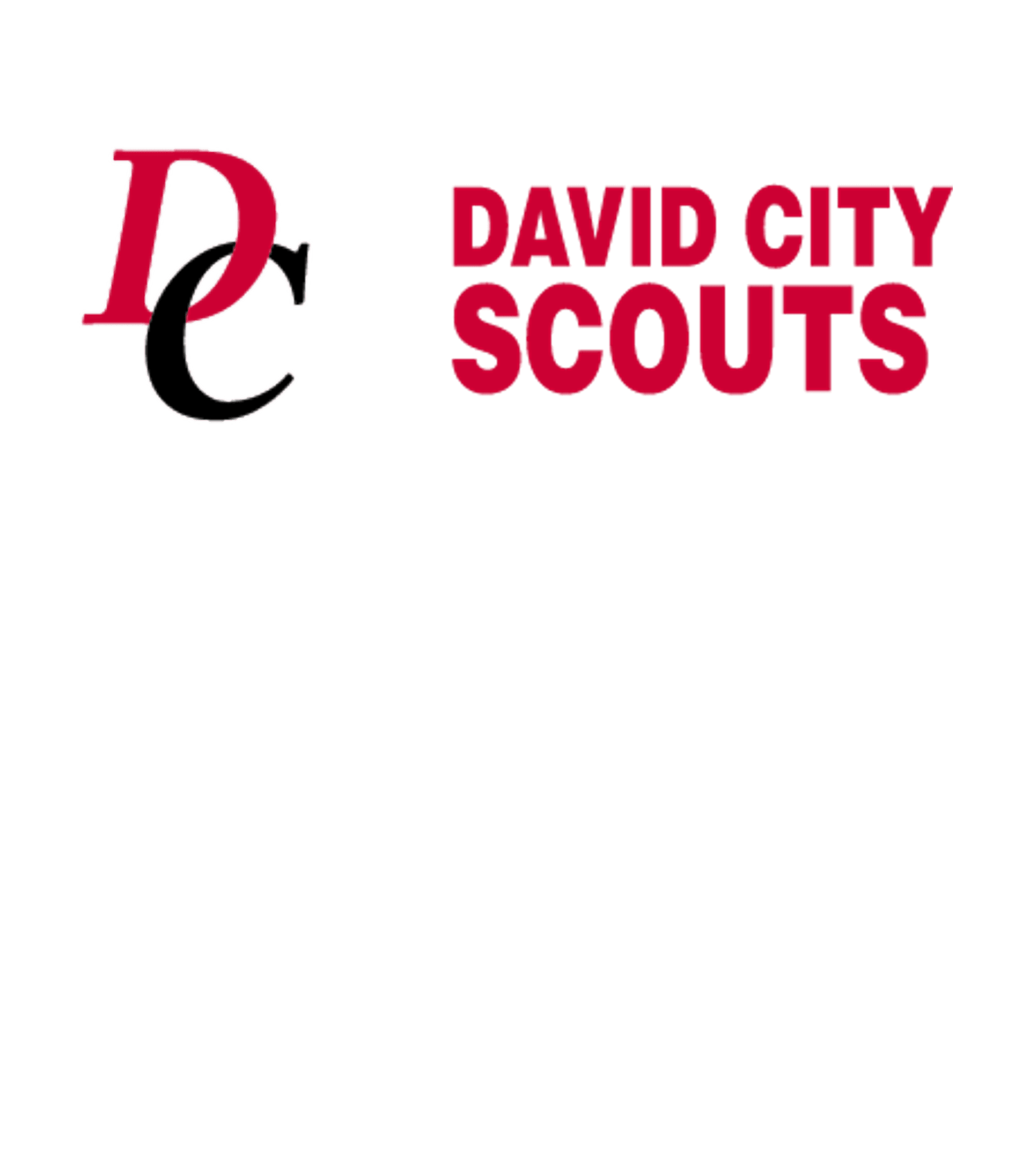 DAVID CITY HIGH SCHOOL Logo