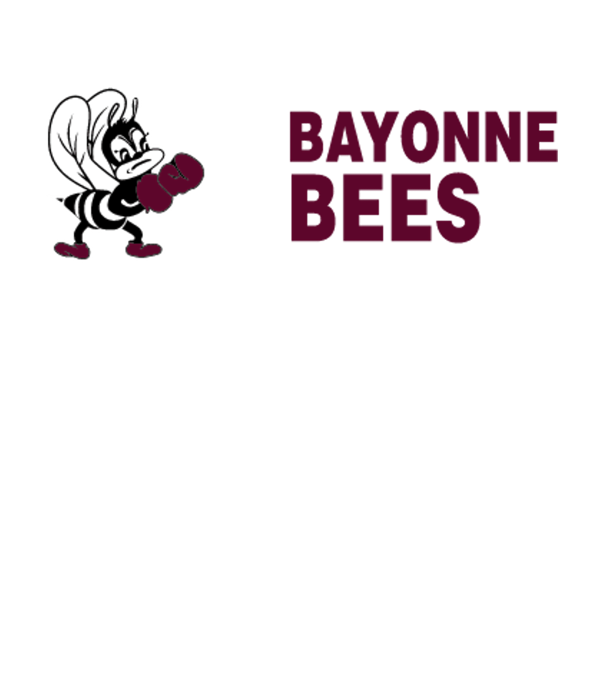 Bayonne High School Logo