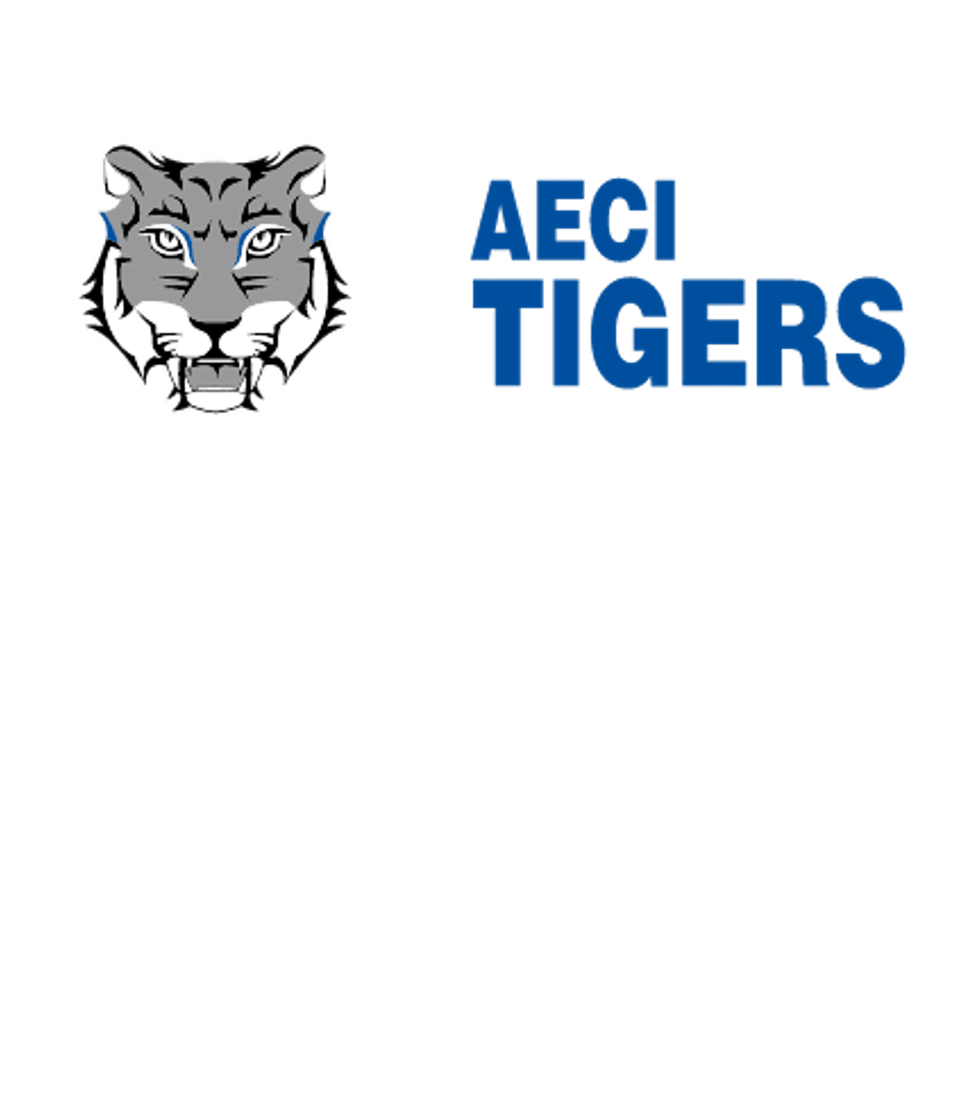 AECI CHARTER HIGH SCHOOL Logo
