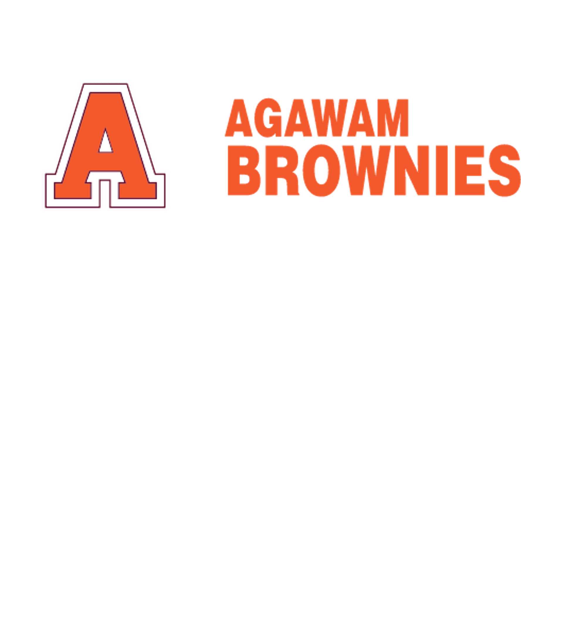 AGAWAM HIGH SCHOOL Logo