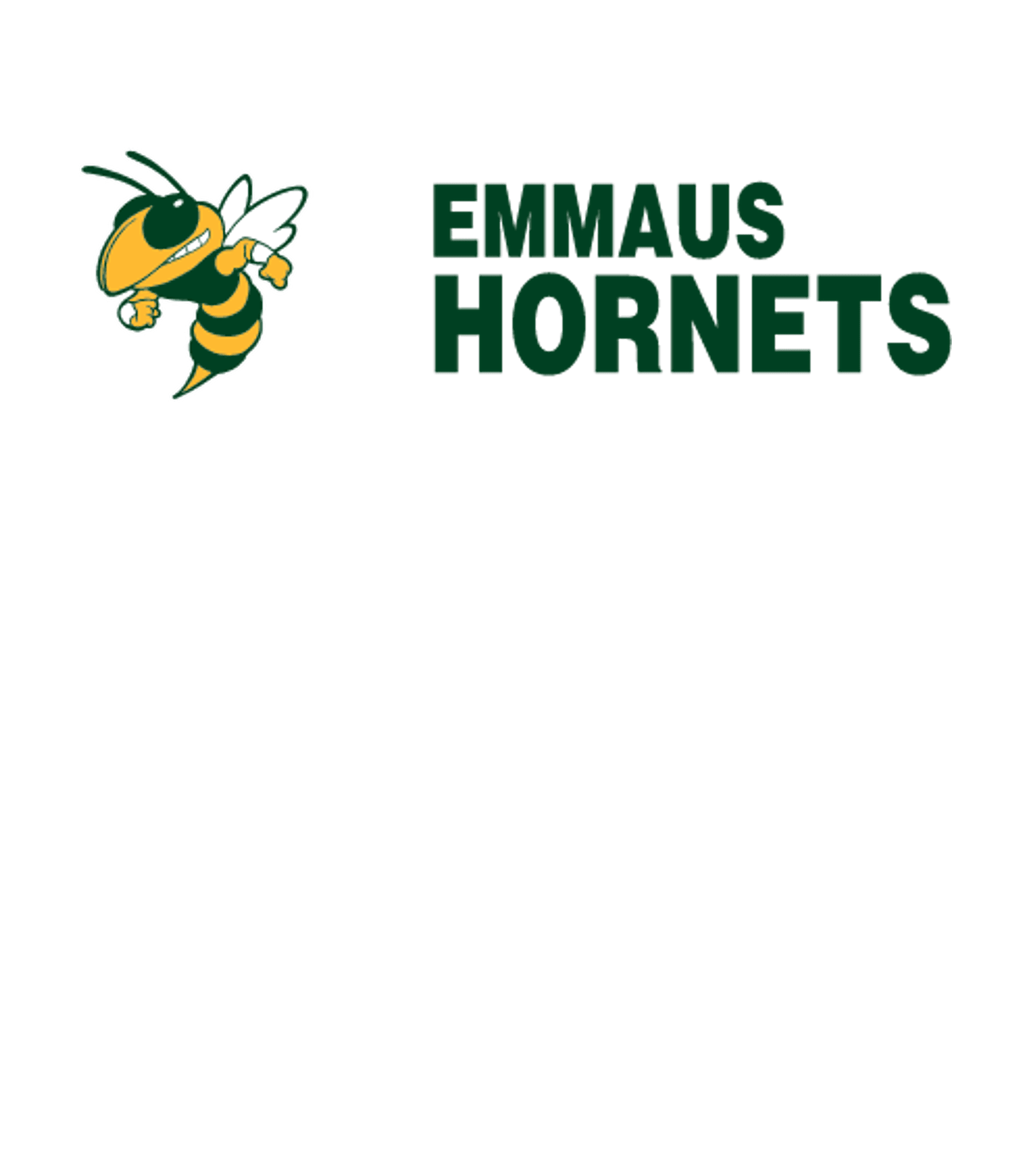 EMMAUS HIGH SCHOOL Logo