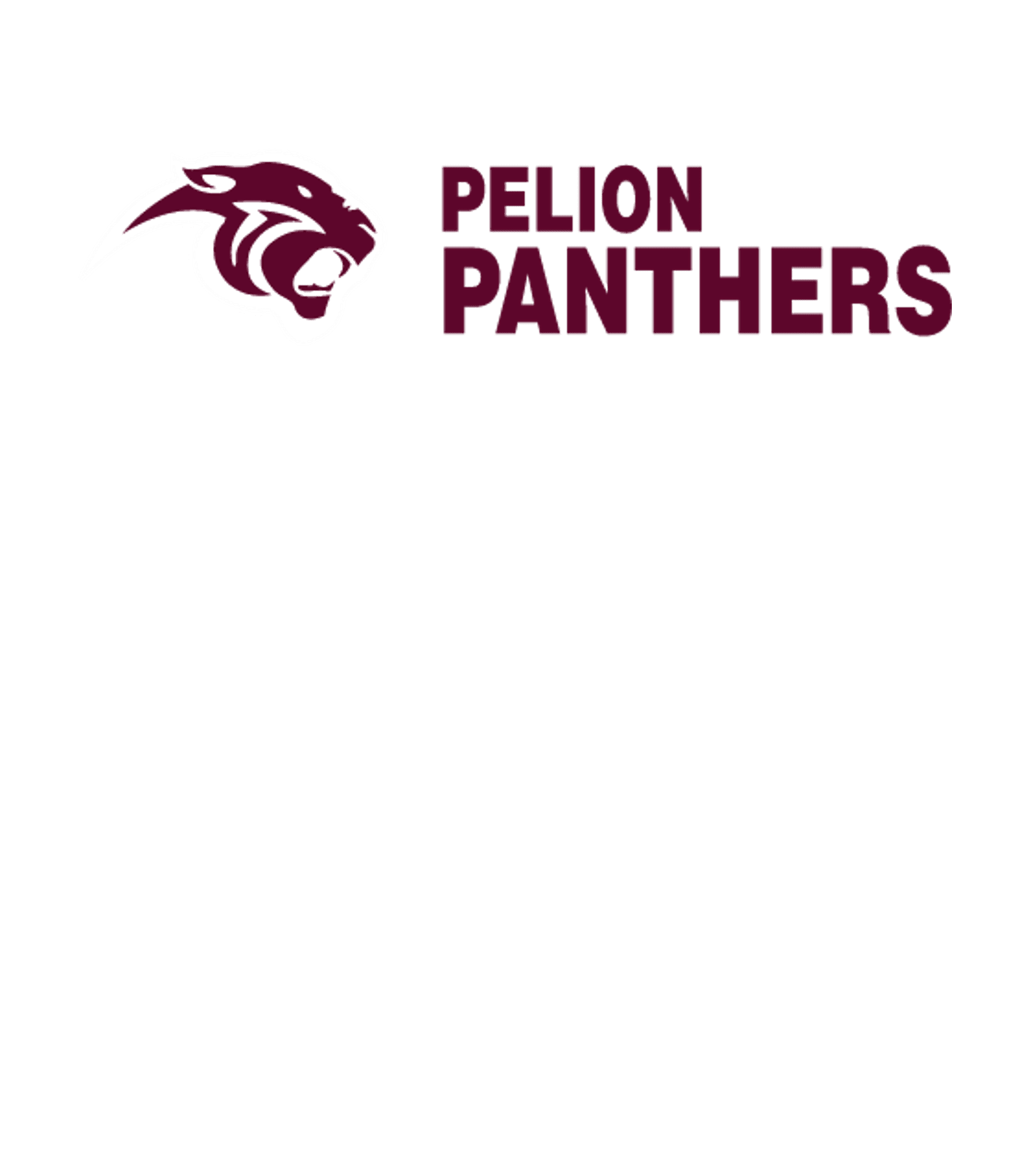 PELION HIGH SCHOOL Logo