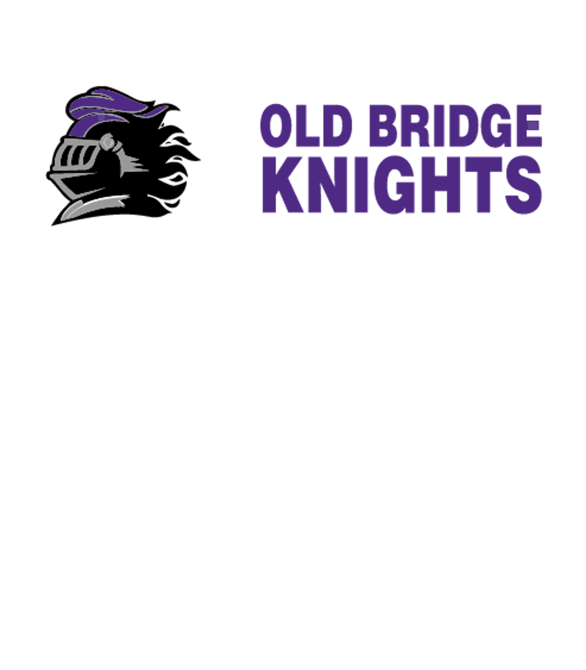 Old Bridge High School Logo