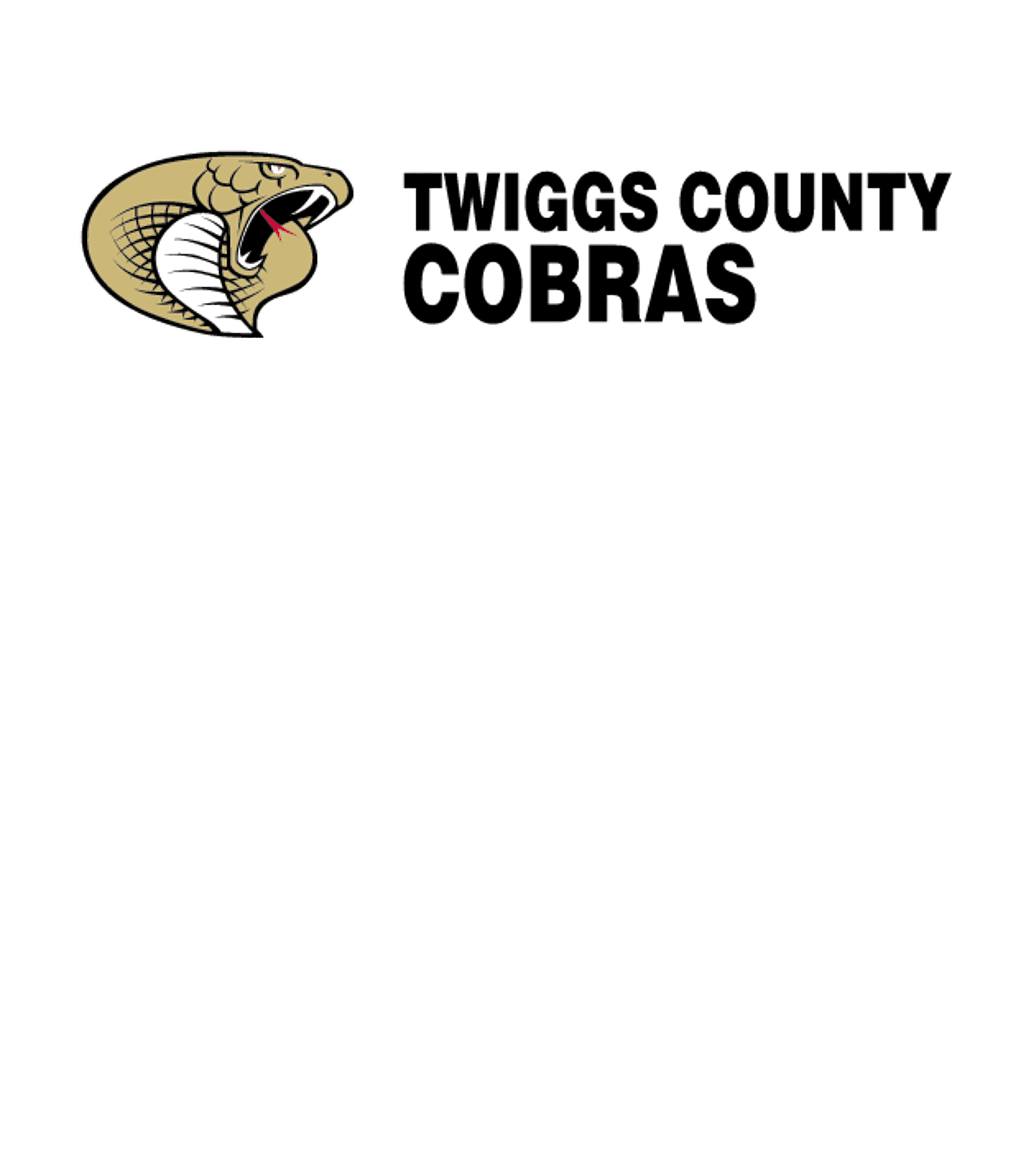 Twiggs County High School Logo