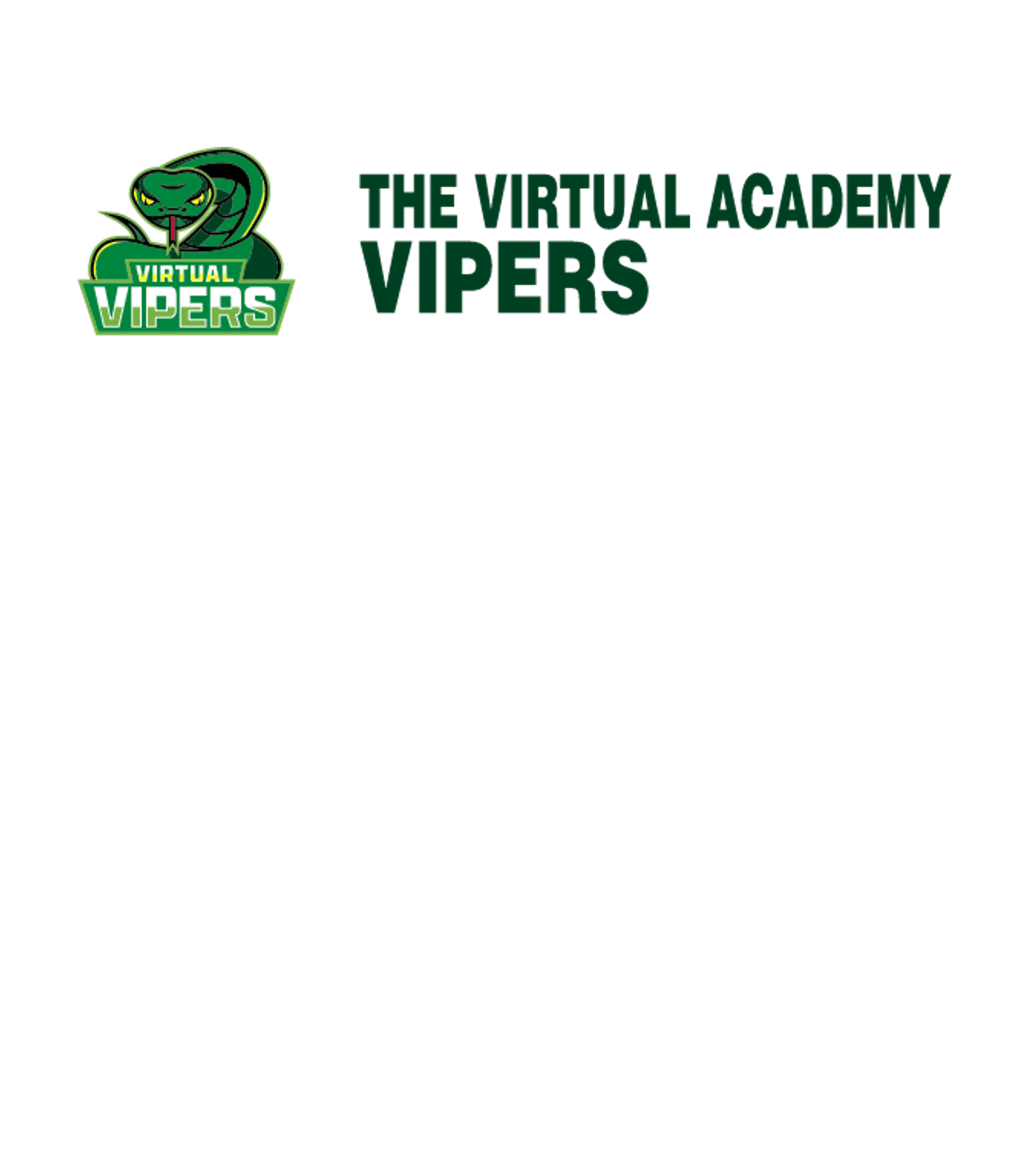 The Virtual Academy Logo