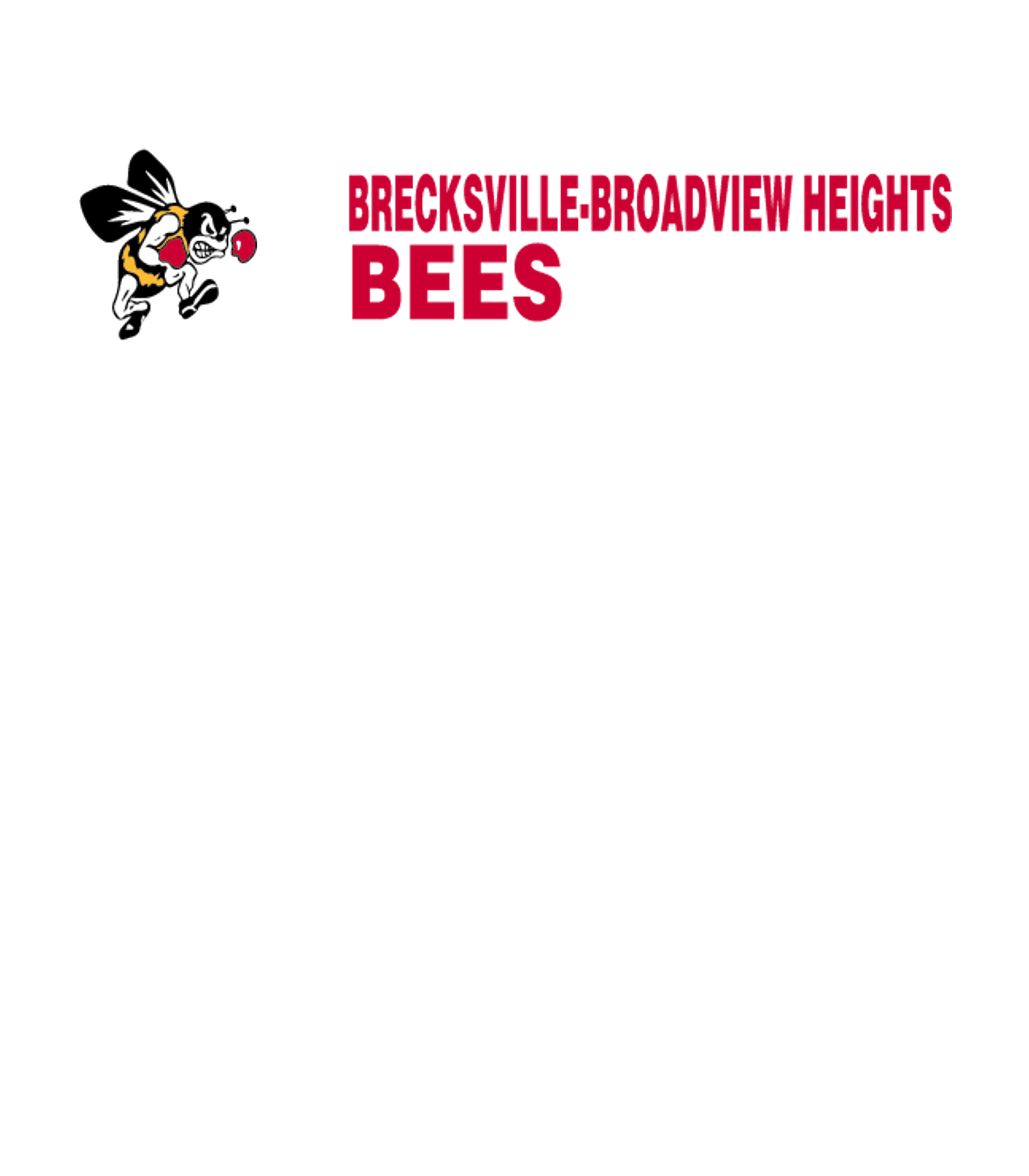 Brecksville-broadview Heights Middle School Logo