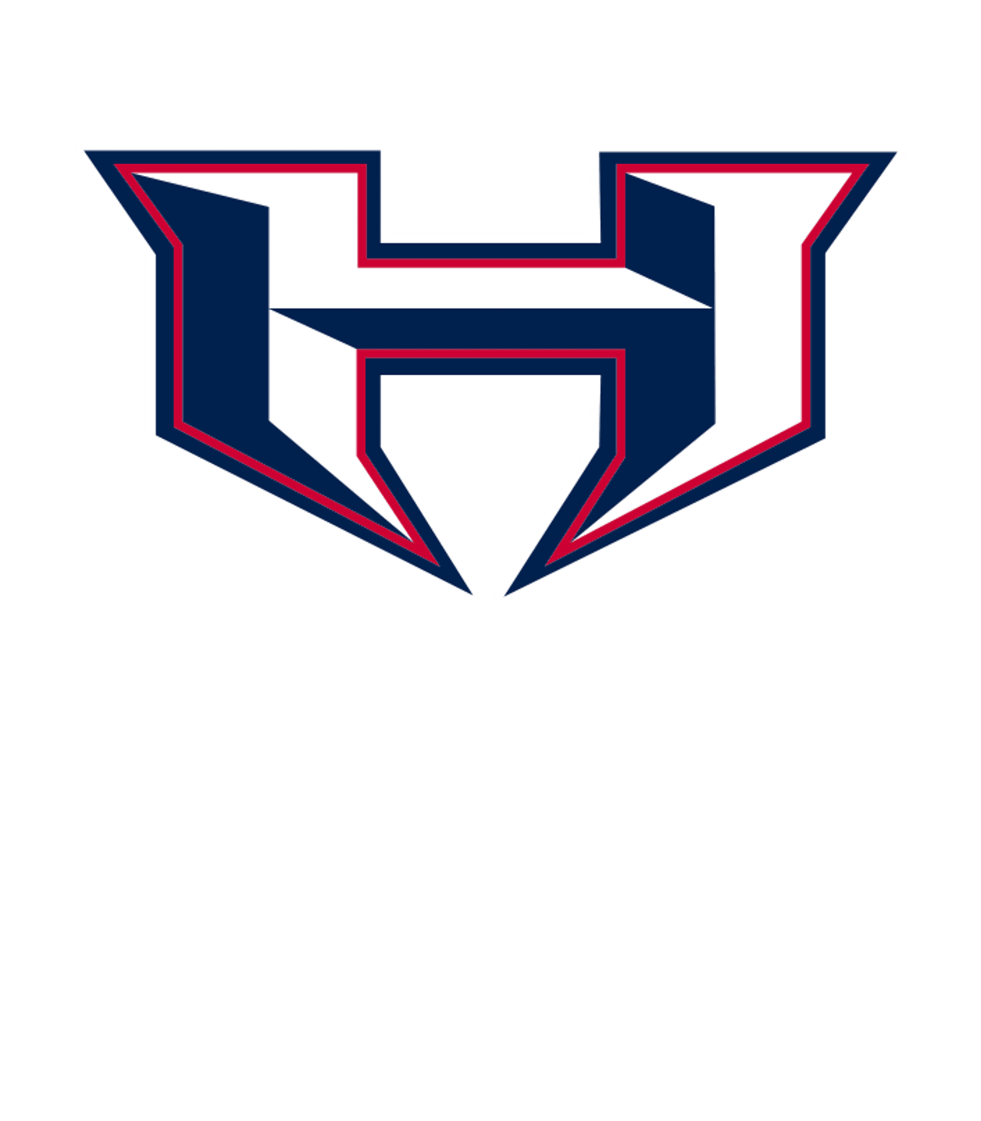 Quad City Hitmen Baseball and Softball Academy Logo