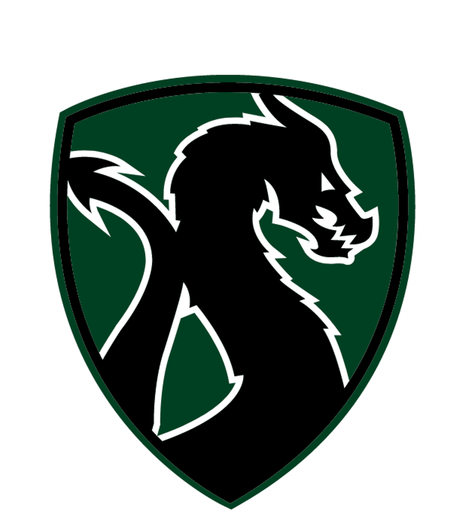 Drew School Logo