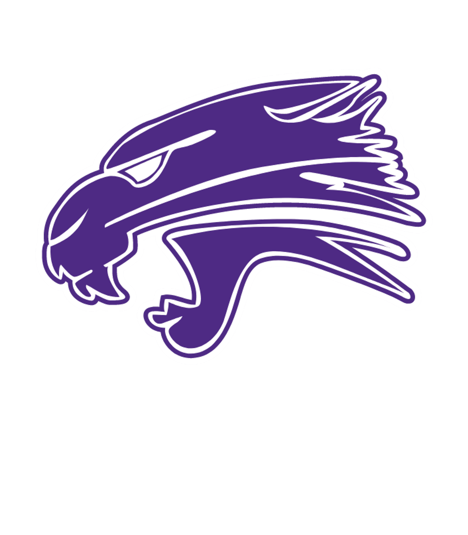 Palmyra-Eagle Panthers Logo