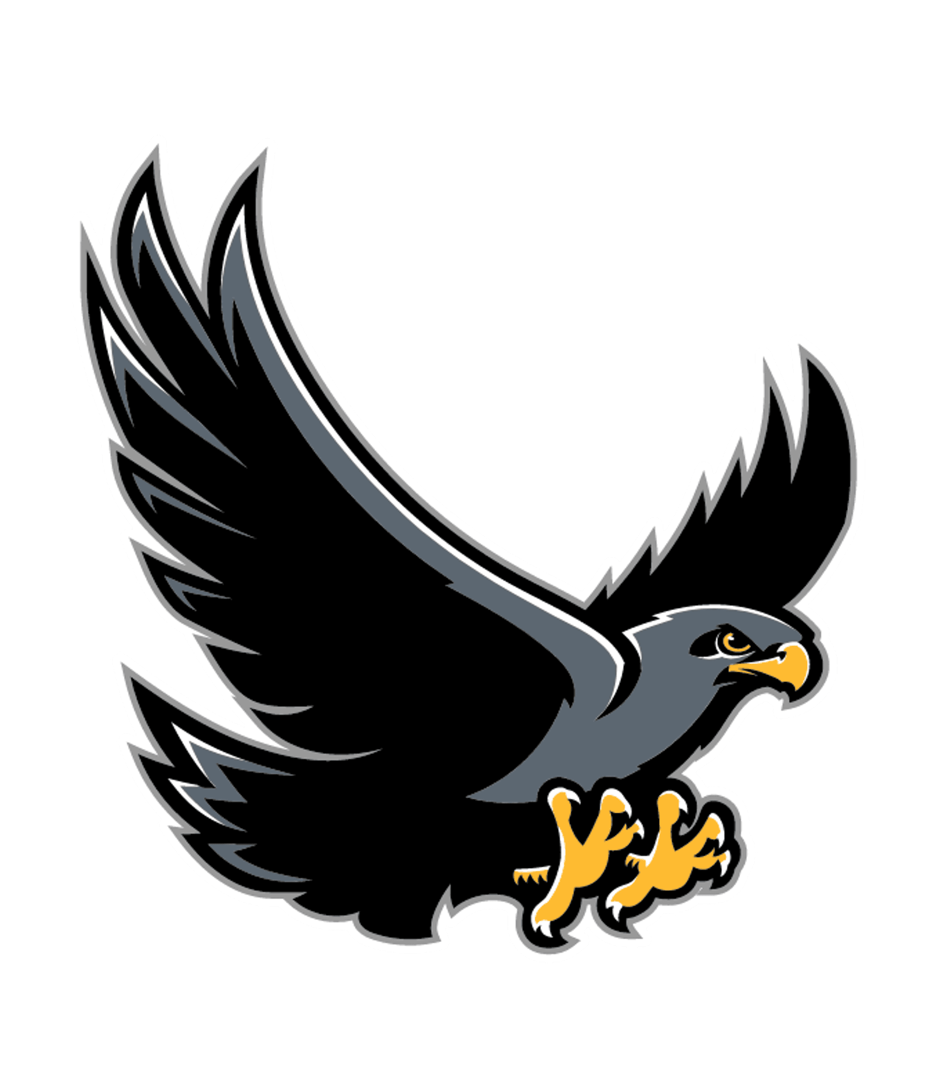 Andrew P. Hill High School Logo
