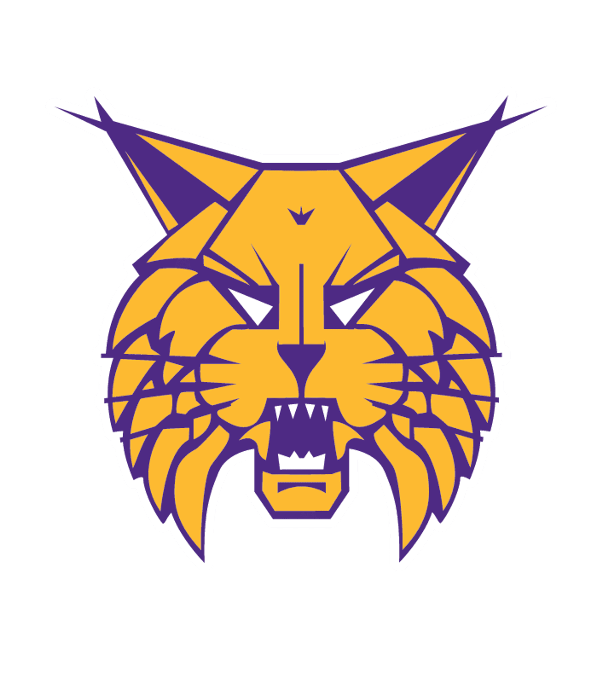 Dan River High Logo