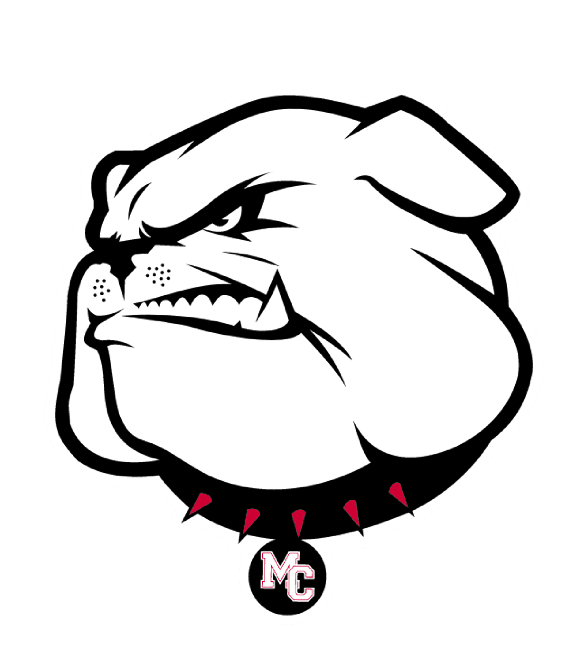 AMBER-POCASSET HS Logo