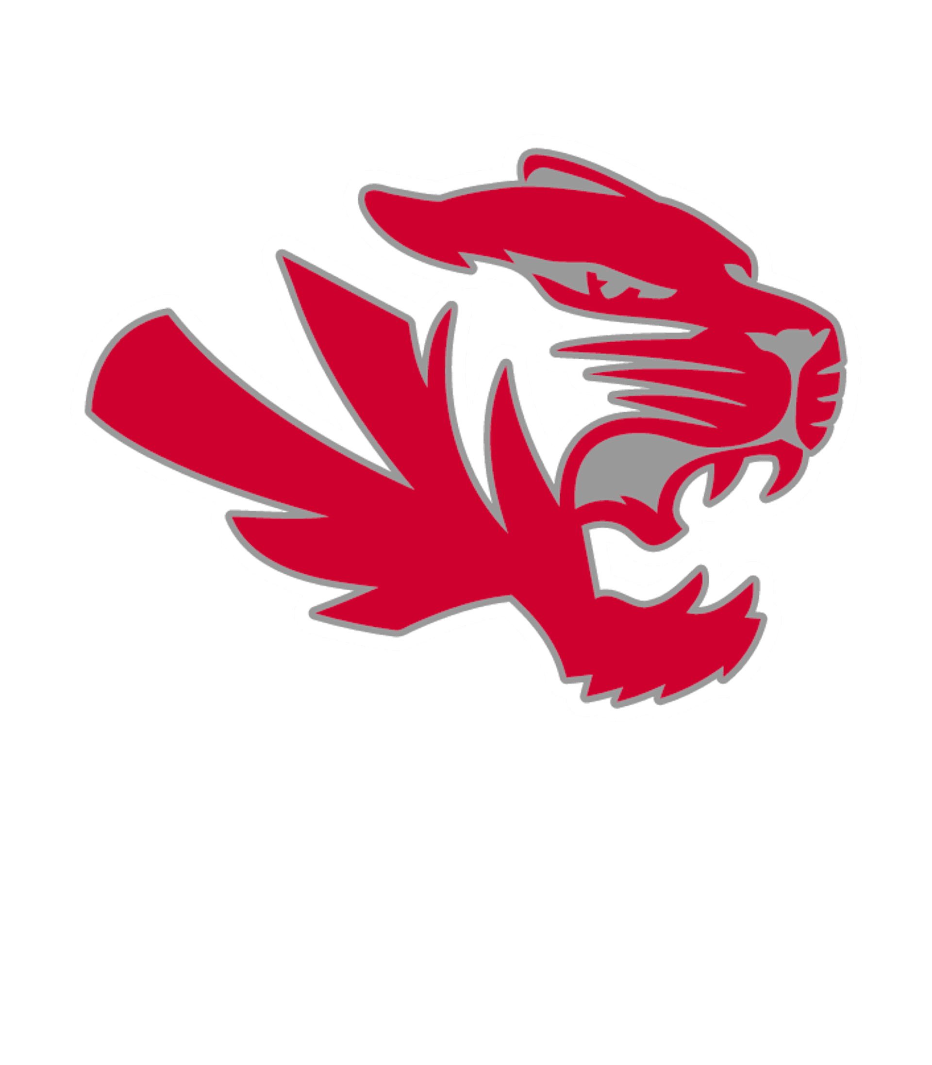 COLEMAN HS Logo