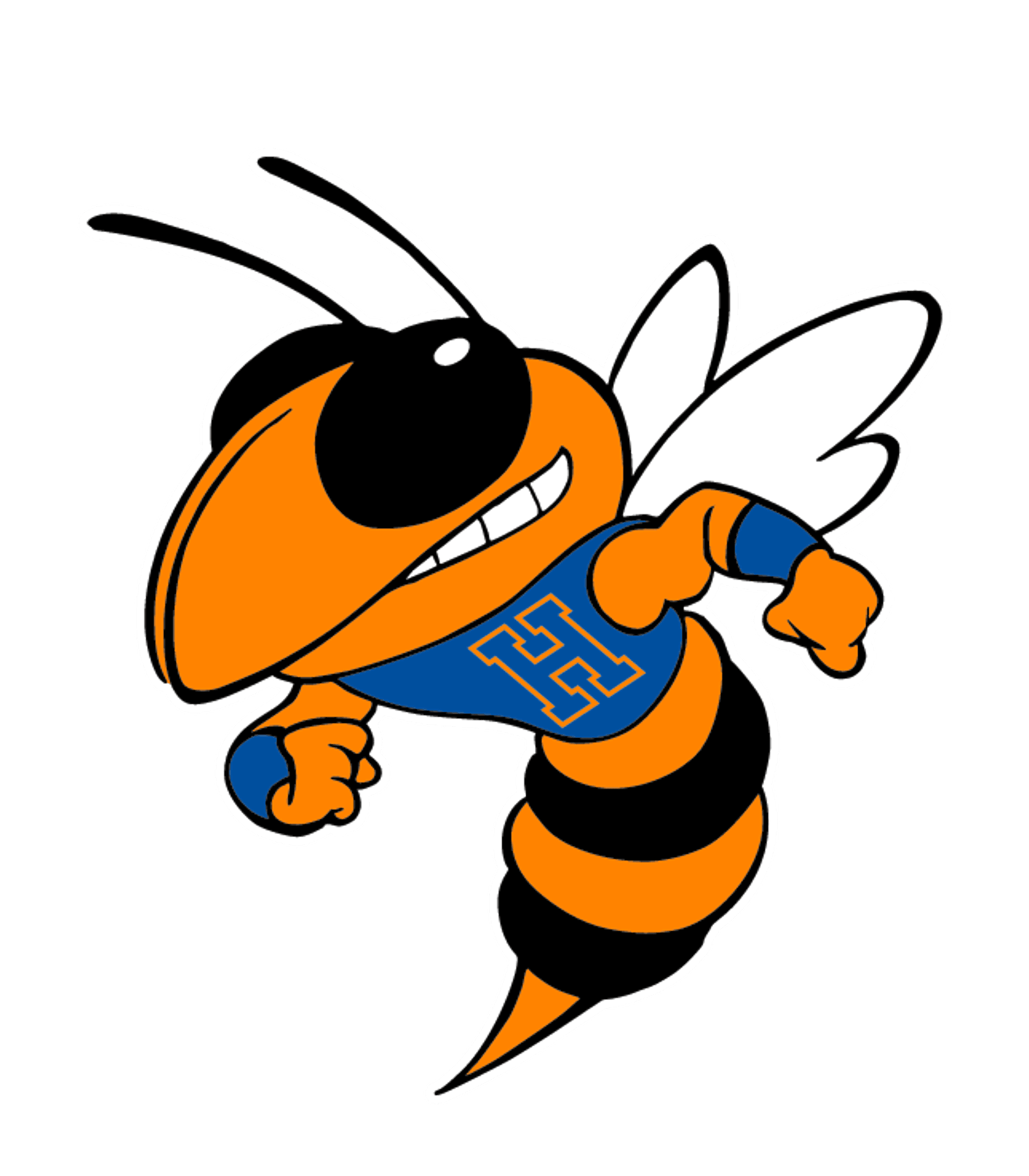 Holston High Logo