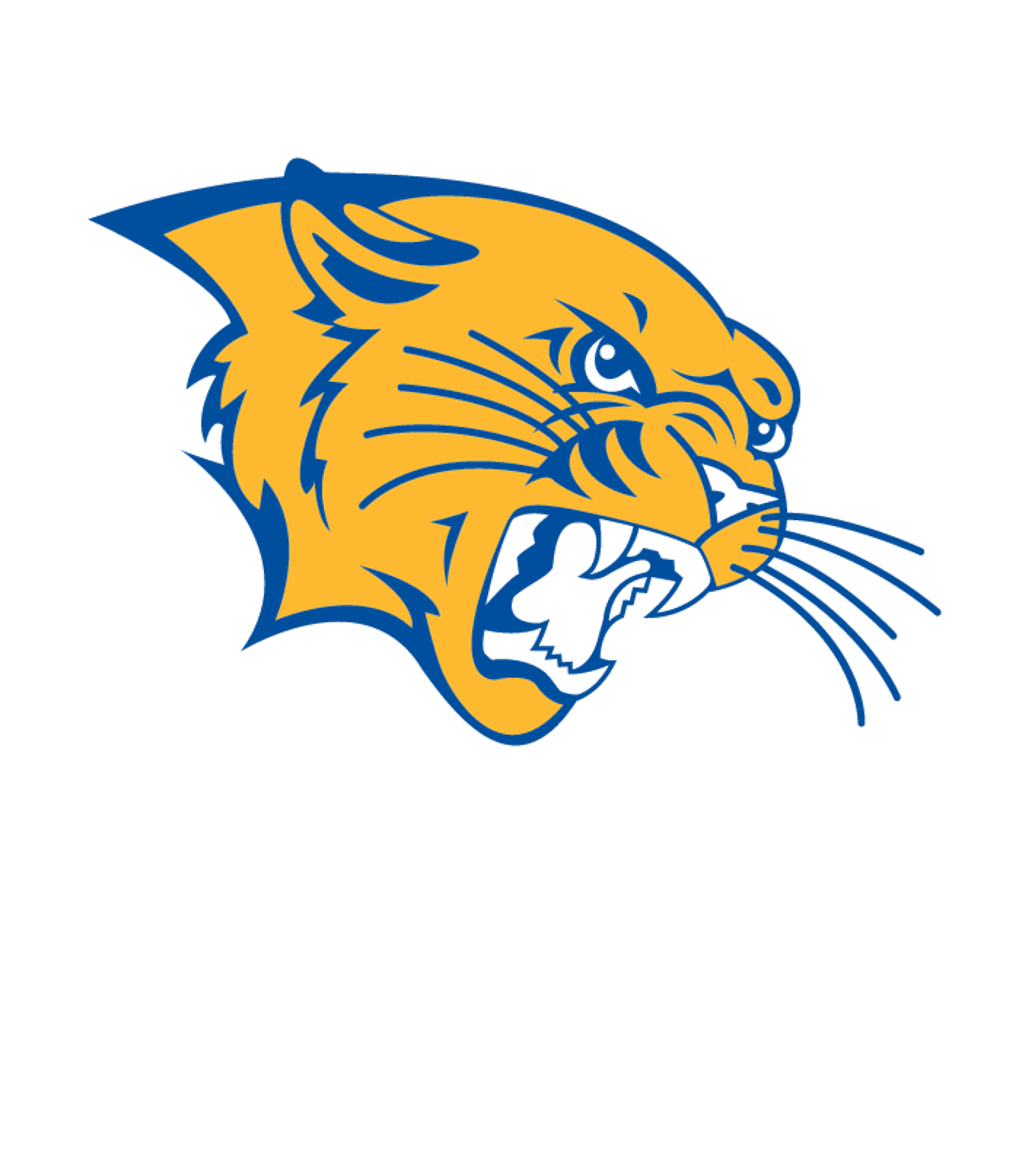 HOLLIS HS Logo