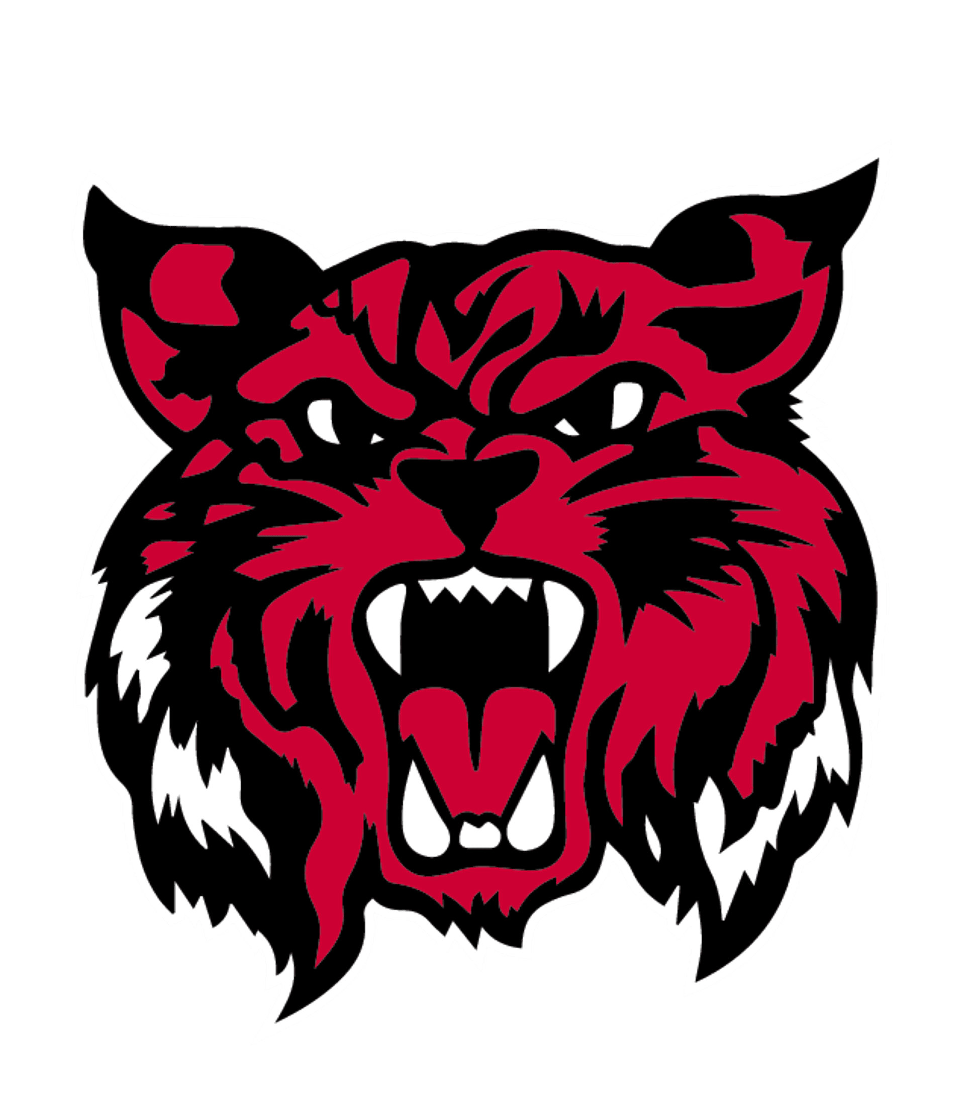 Kalida High School Logo