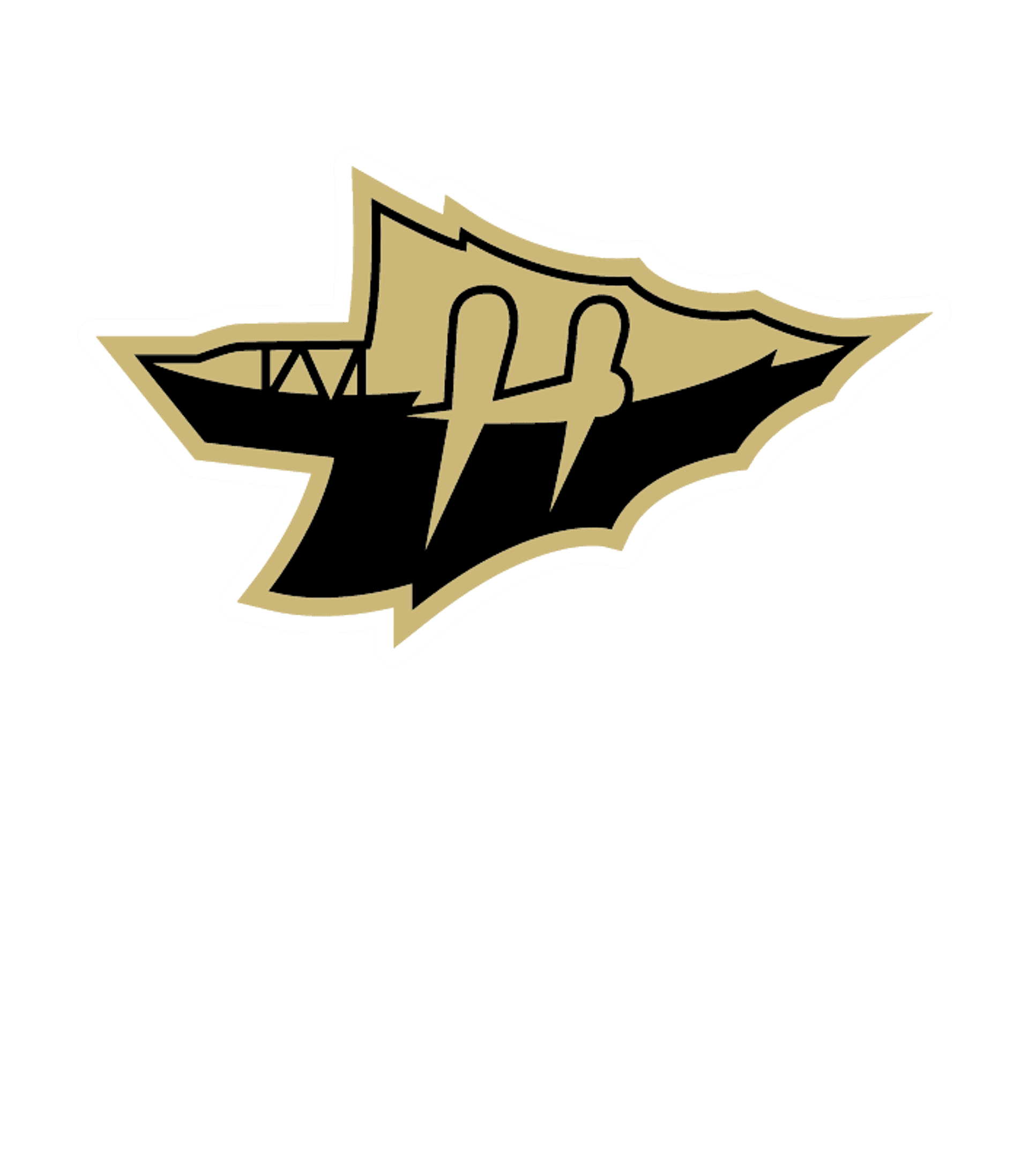 VANDEGRIFT H S Logo