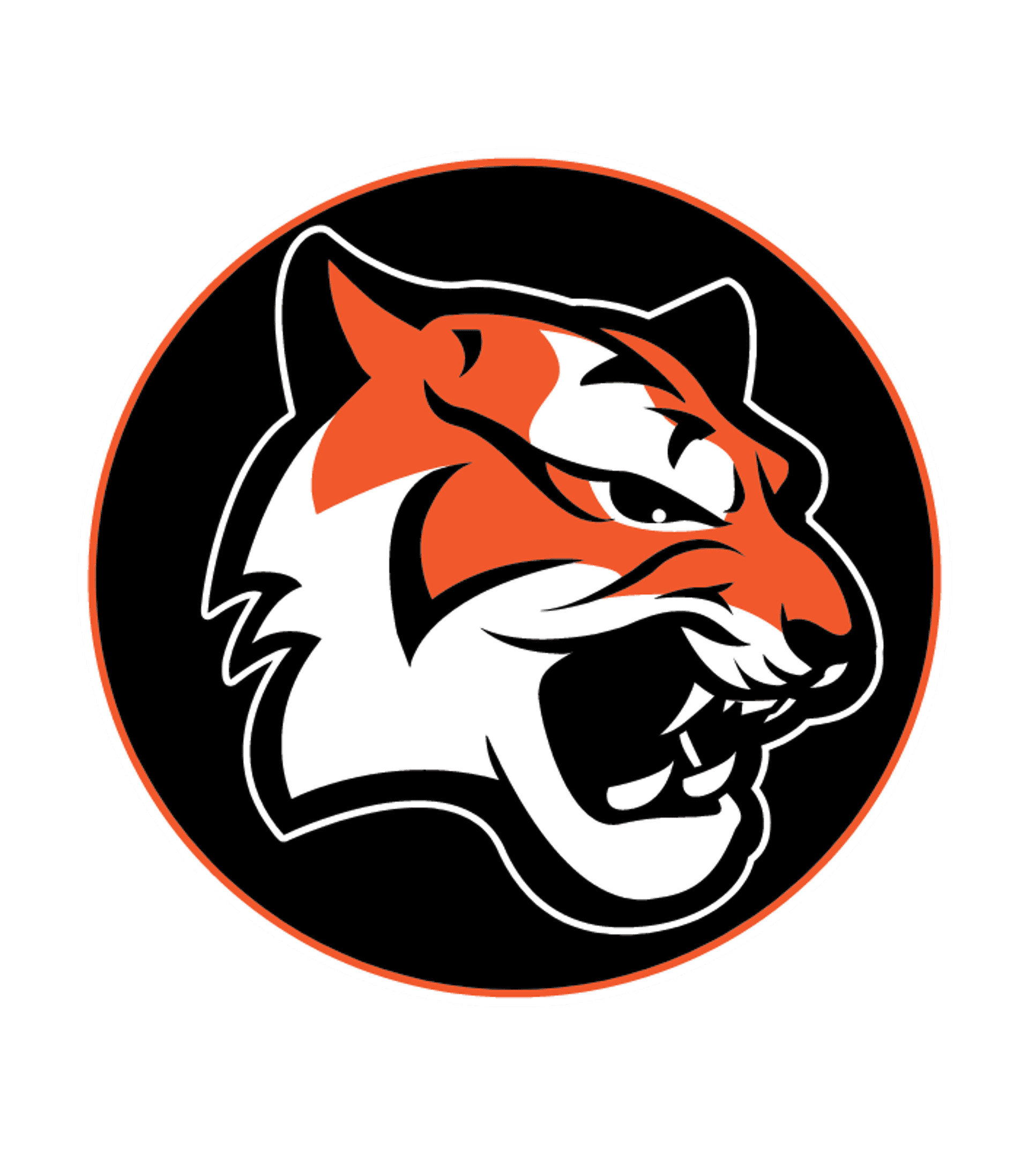 Tabb High Logo