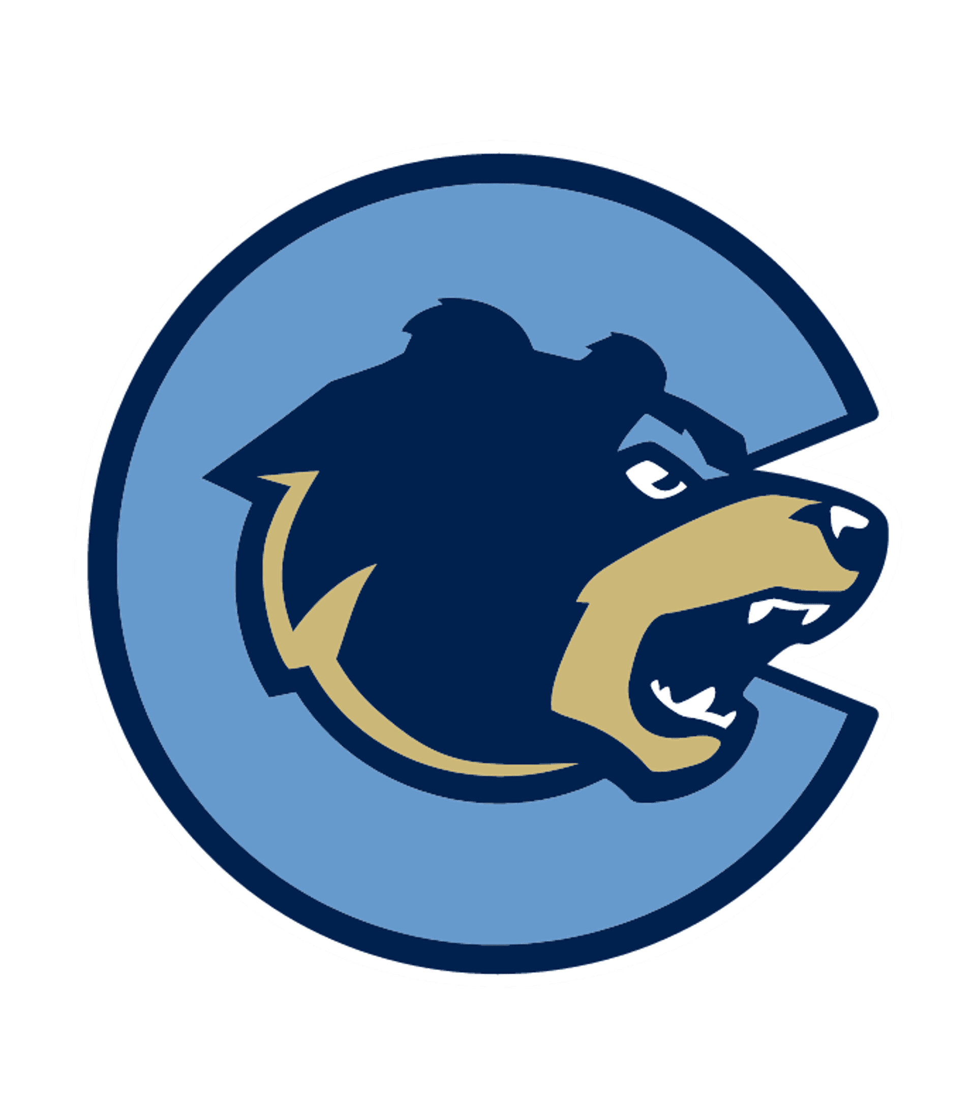 TEAM SCH Logo