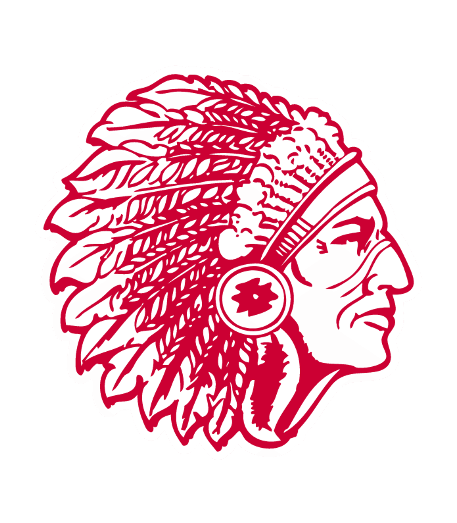 Rock Hill Sr High School Logo