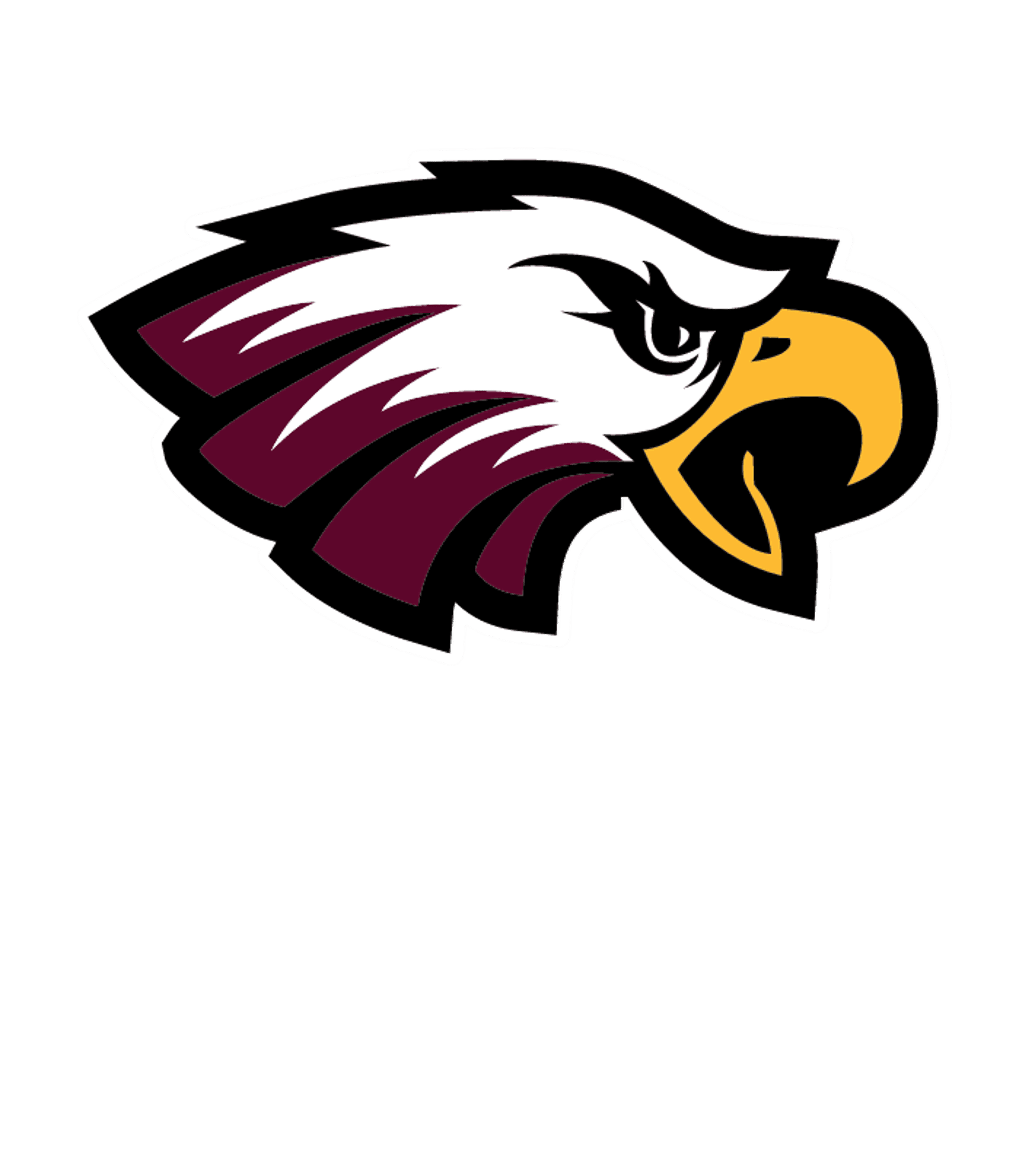 Tyee High School Logo