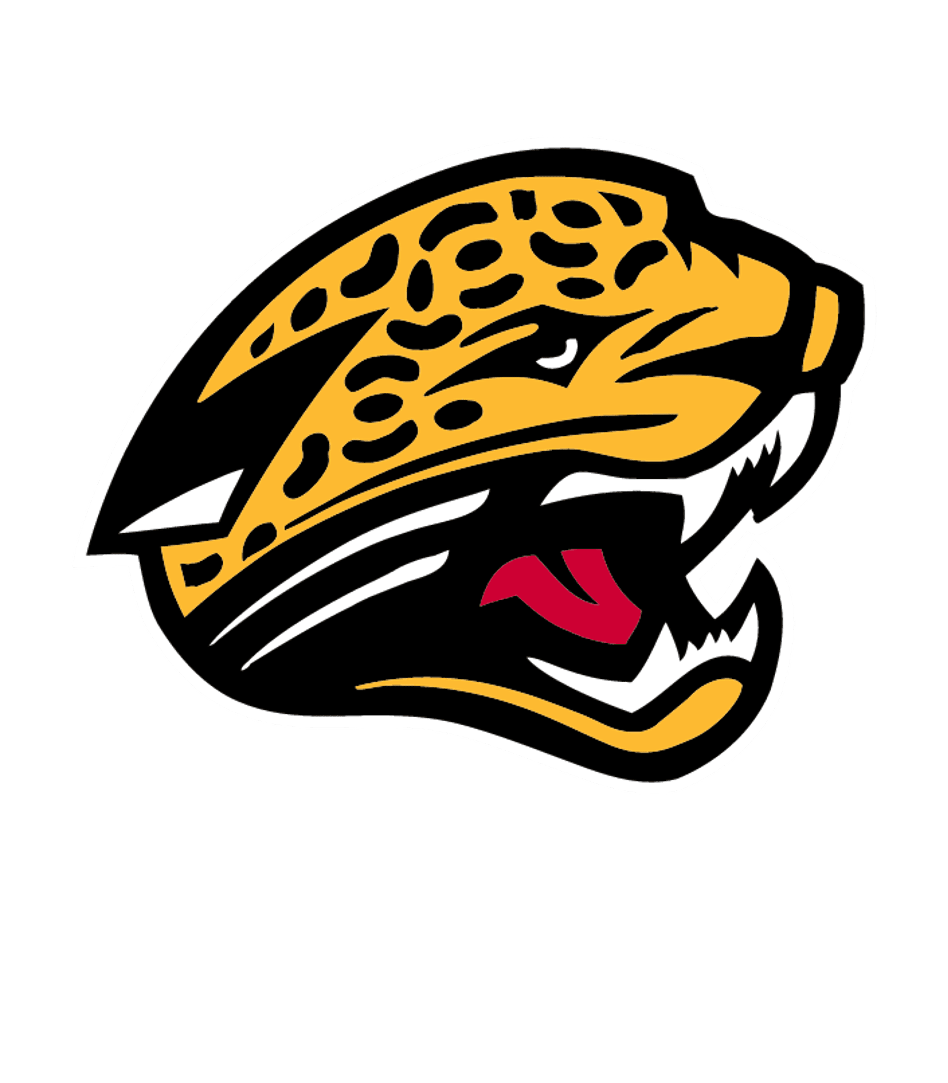 Hampton County High Logo