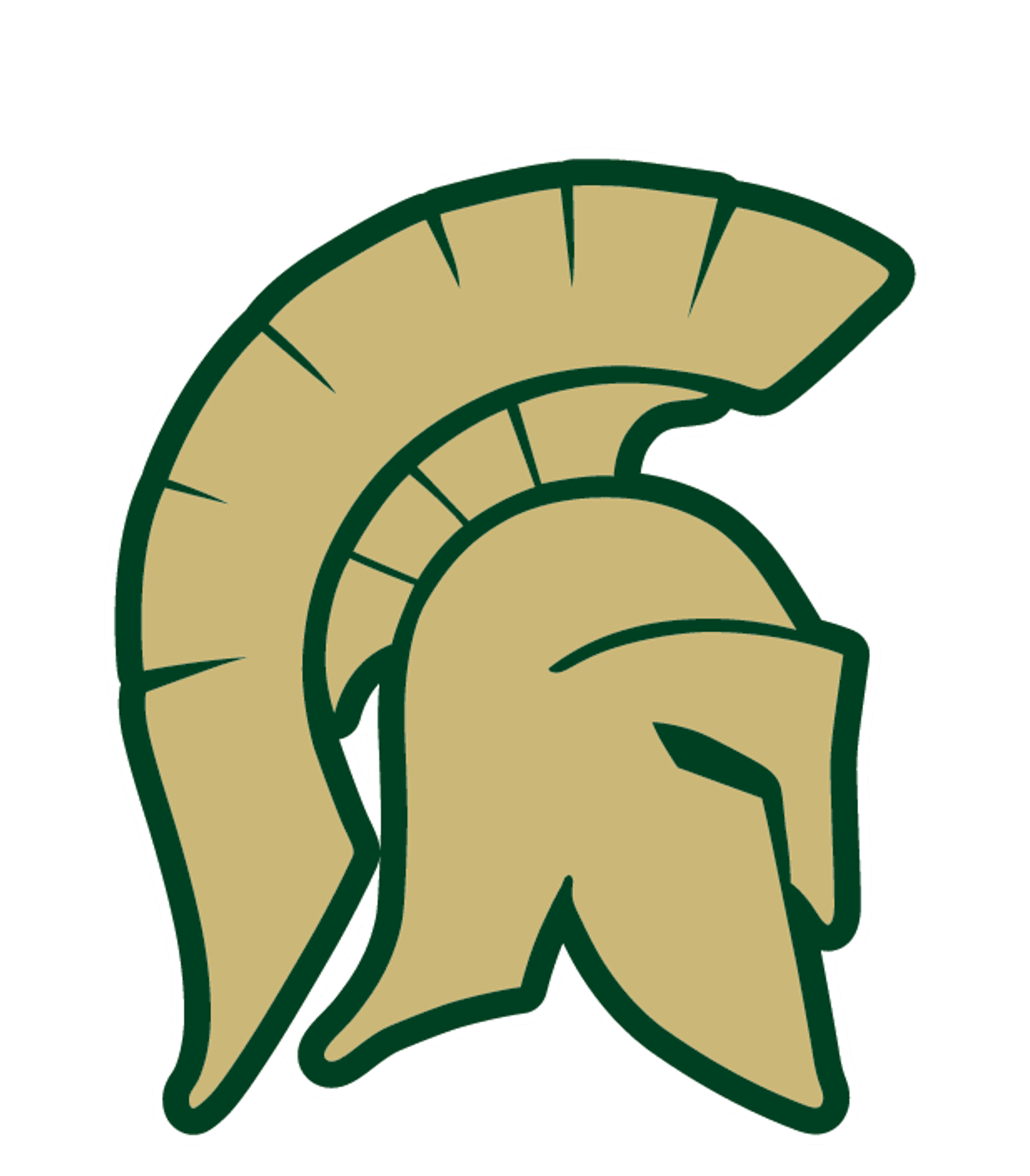 Bandys High Logo