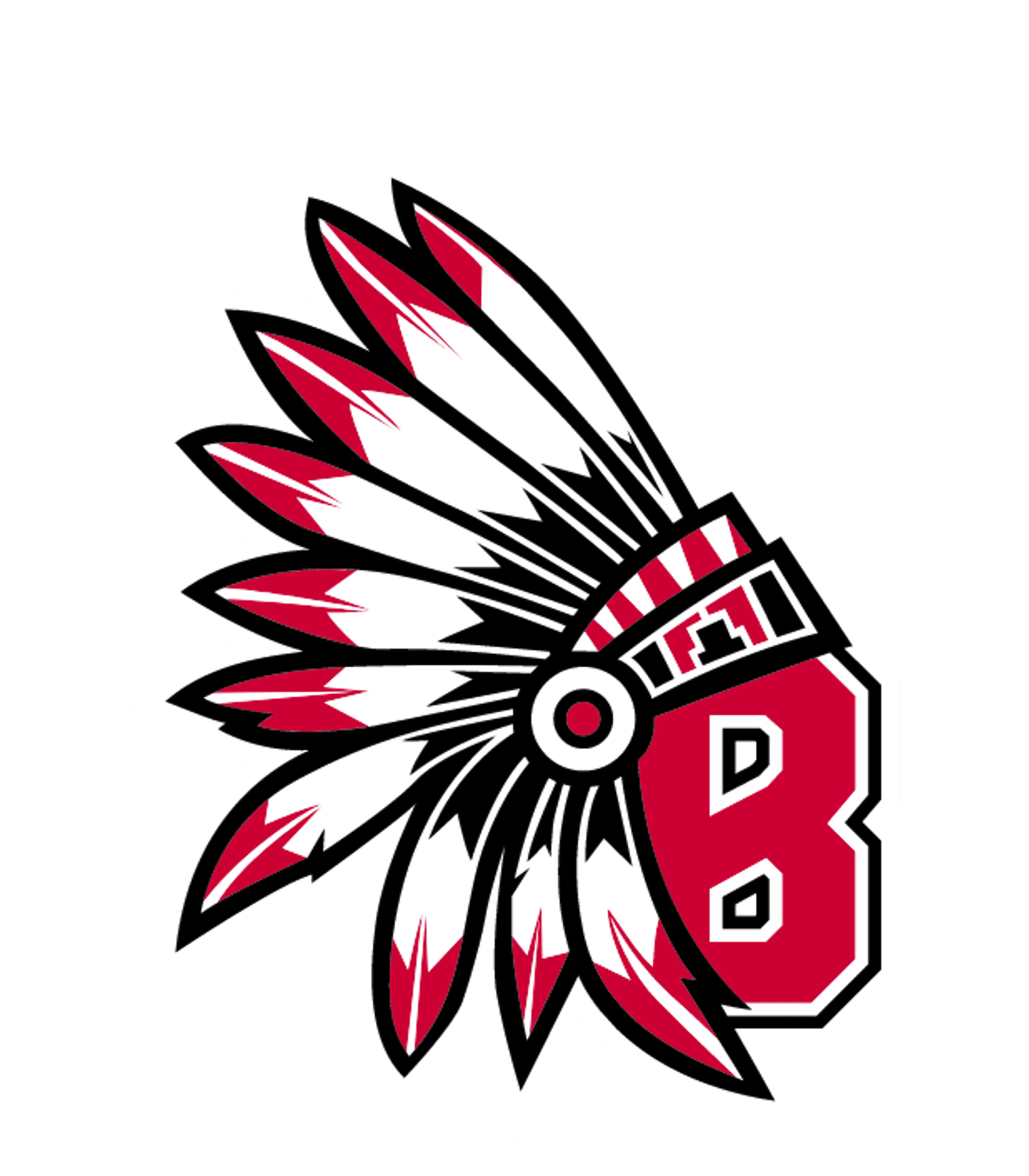 BALDWIN MIDDLE-SENIOR HIGH SCHOOL Logo