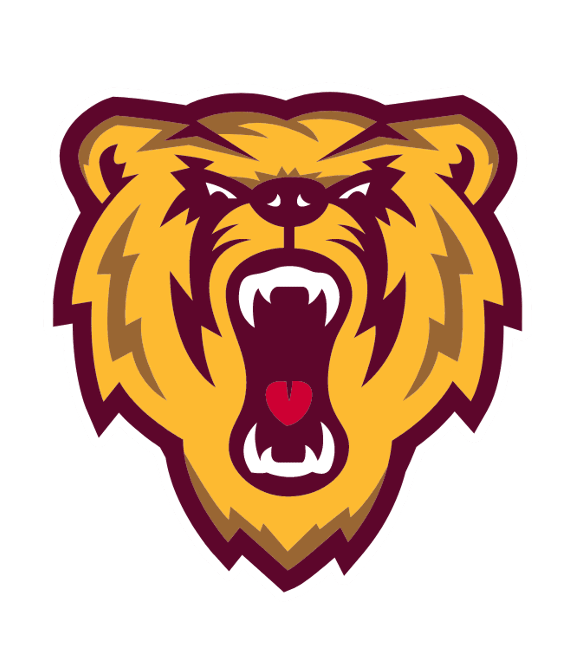 Barron High Logo
