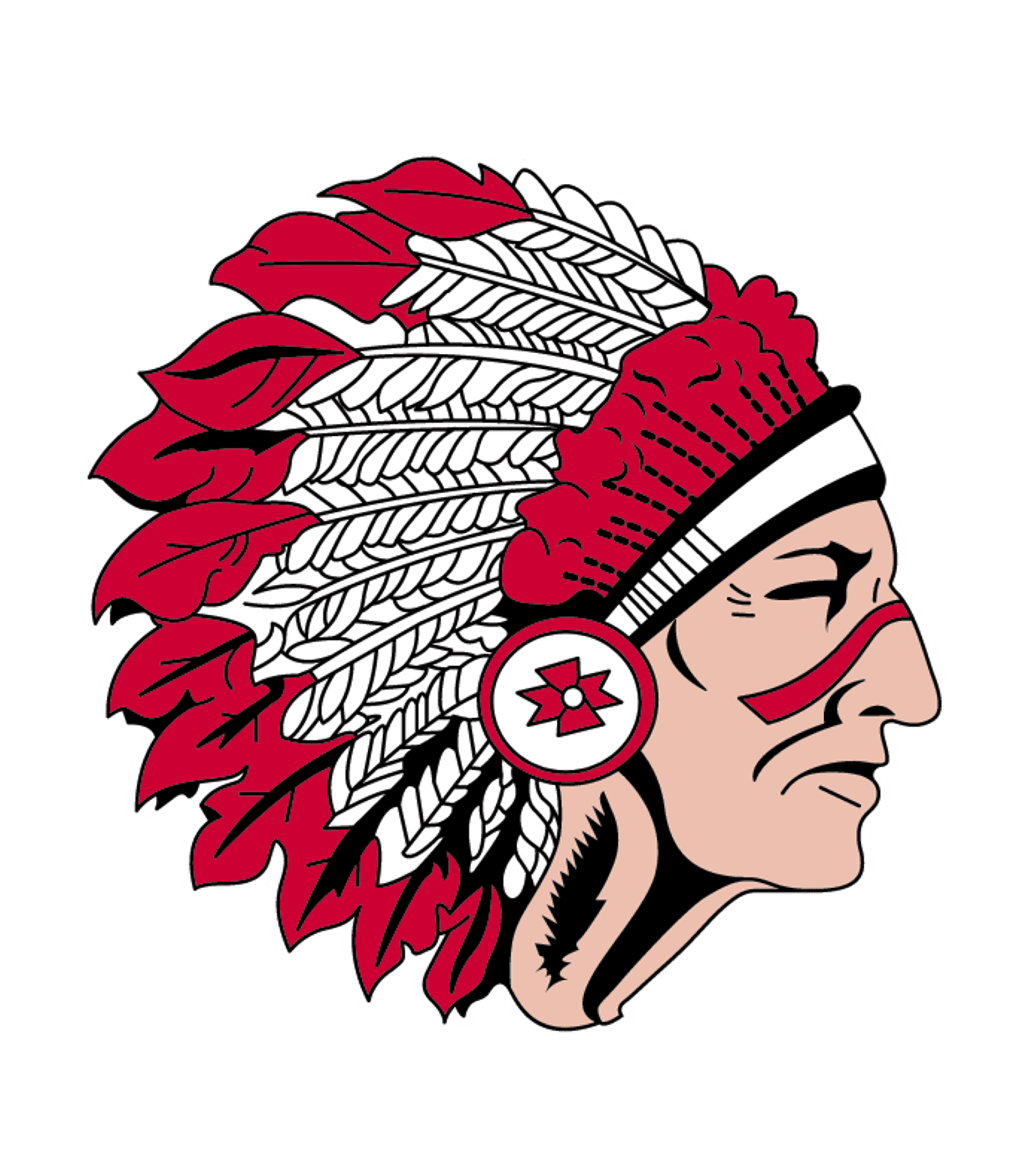 CAINSVILLE HIGH Logo