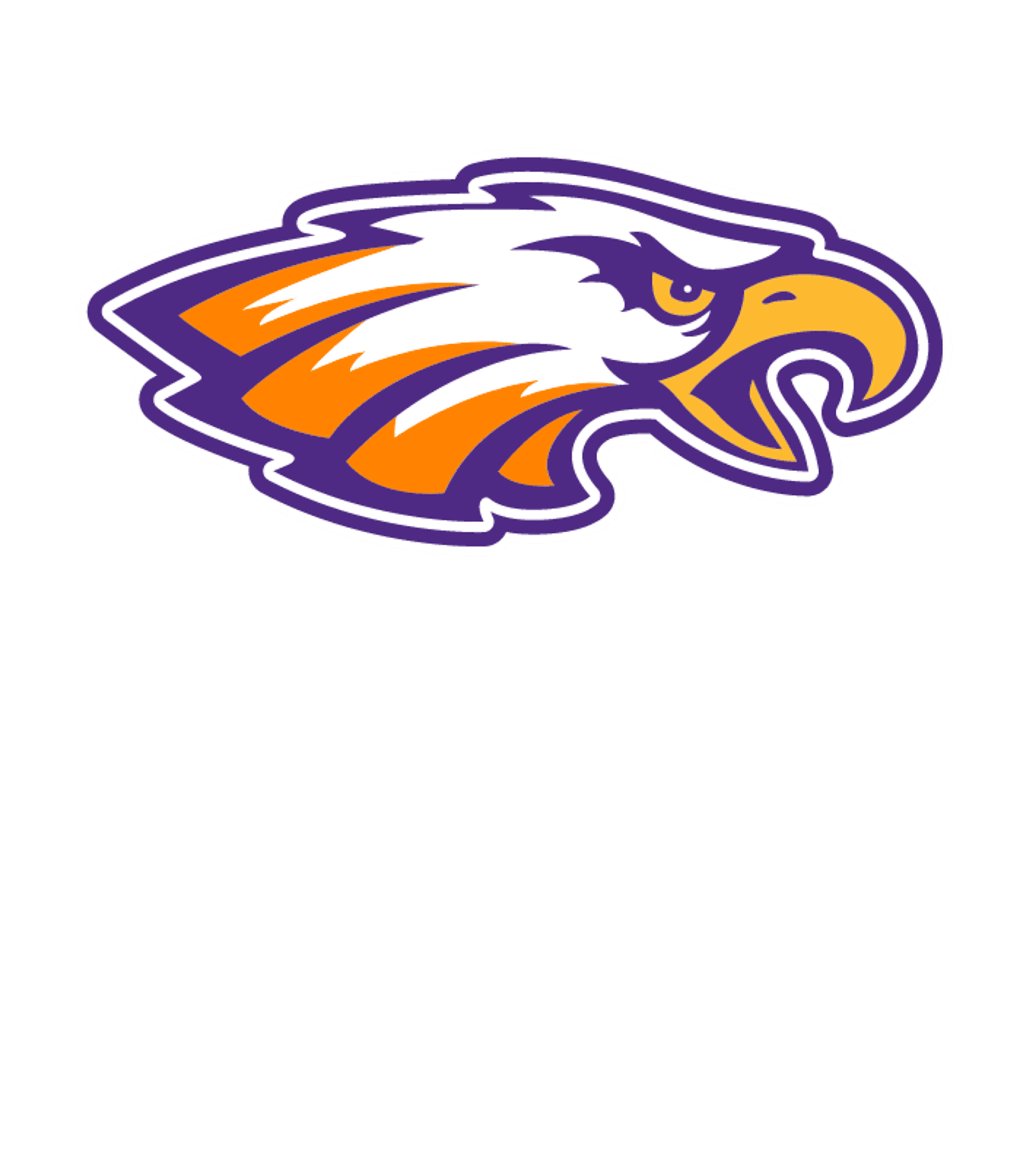 Barneveld High Logo