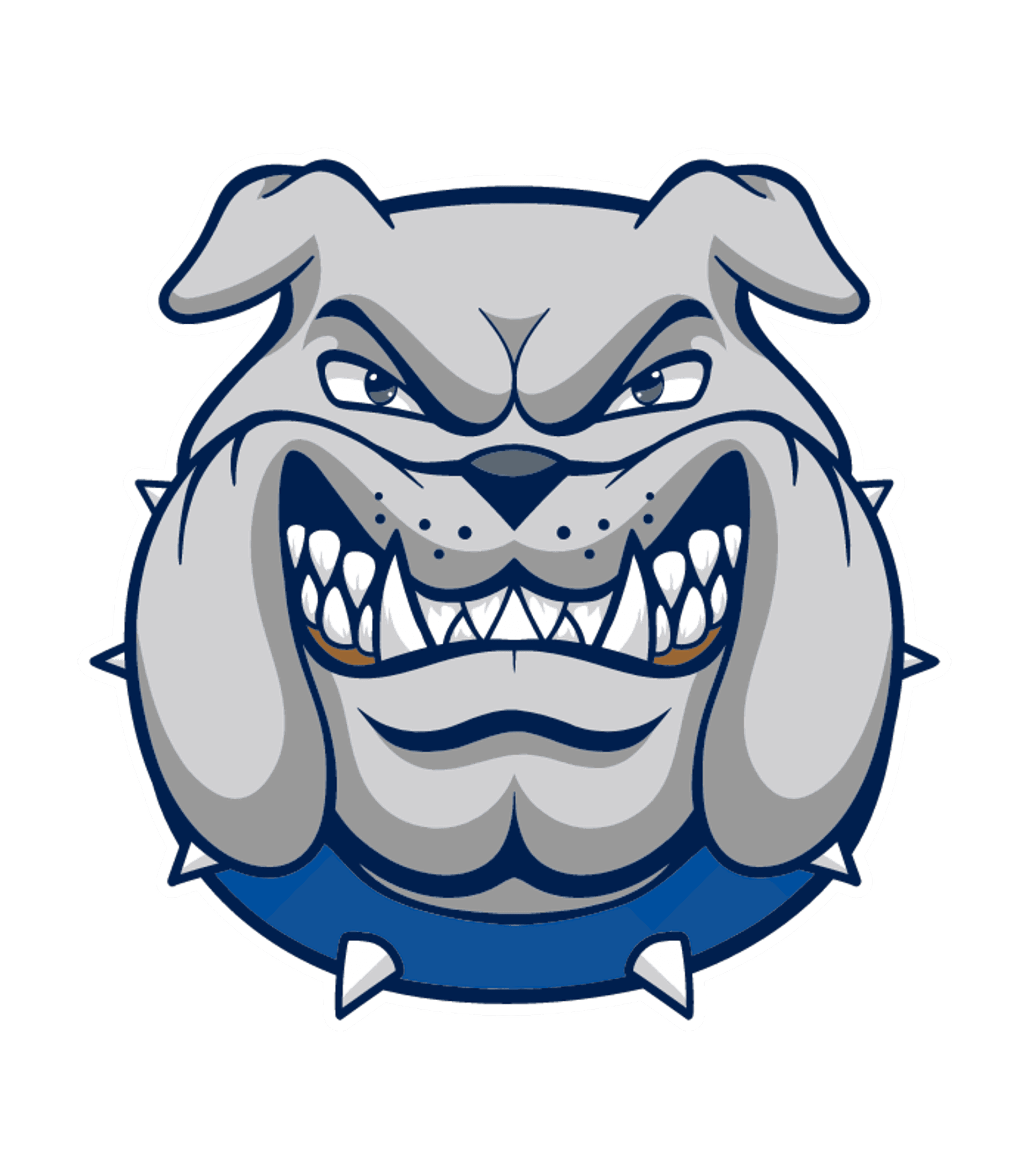 CABOOL HIGH Logo
