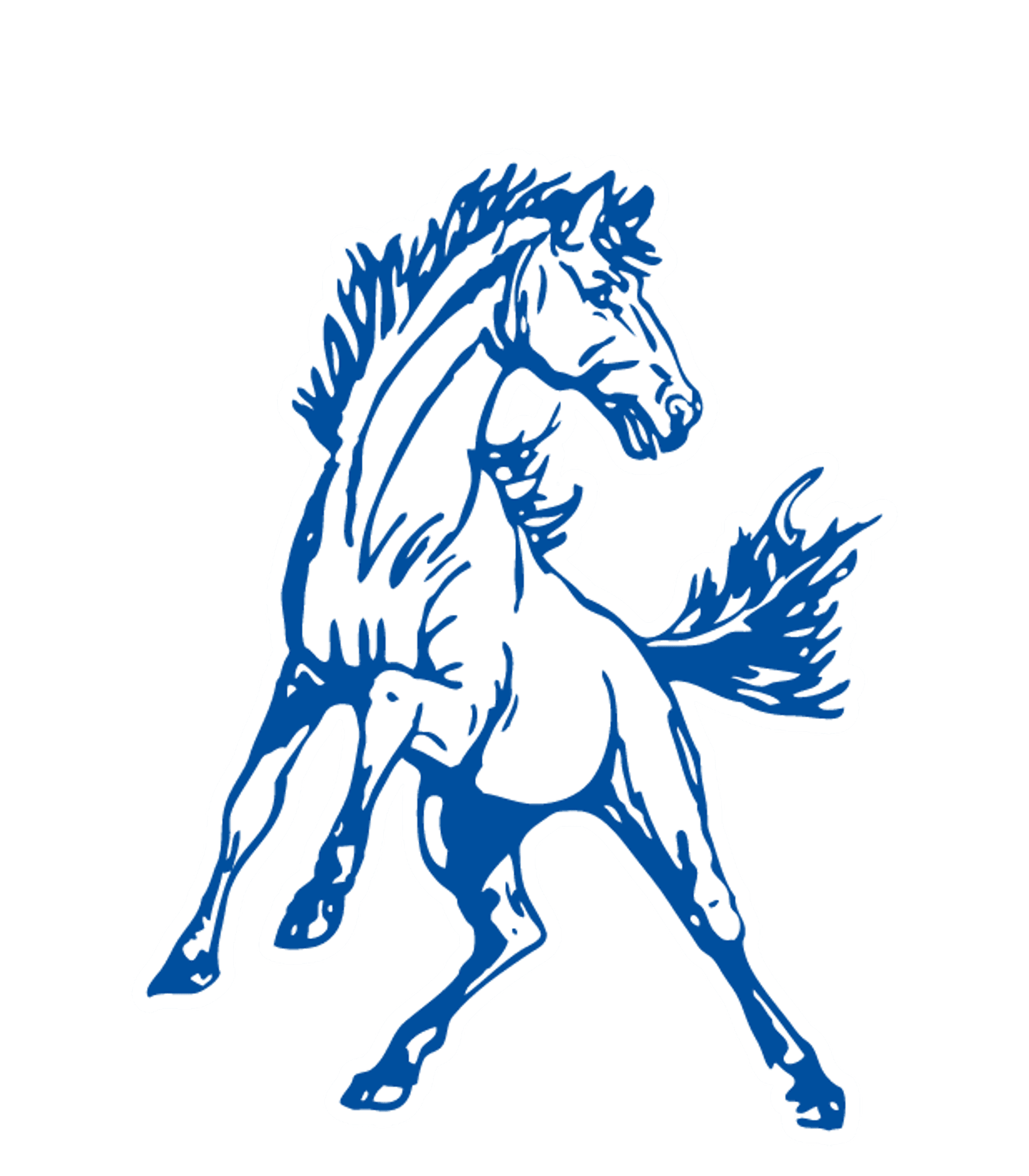 CAIRO-DURHAM HIGH SCHOOL Logo
